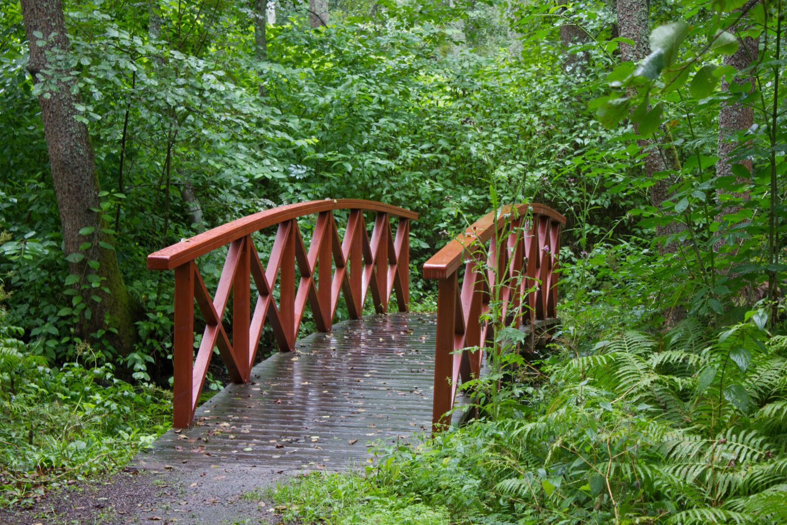 Canon EF-S 18-55mm F3.5-5.6 IS sample photo. Bridge, small bridge, red photography