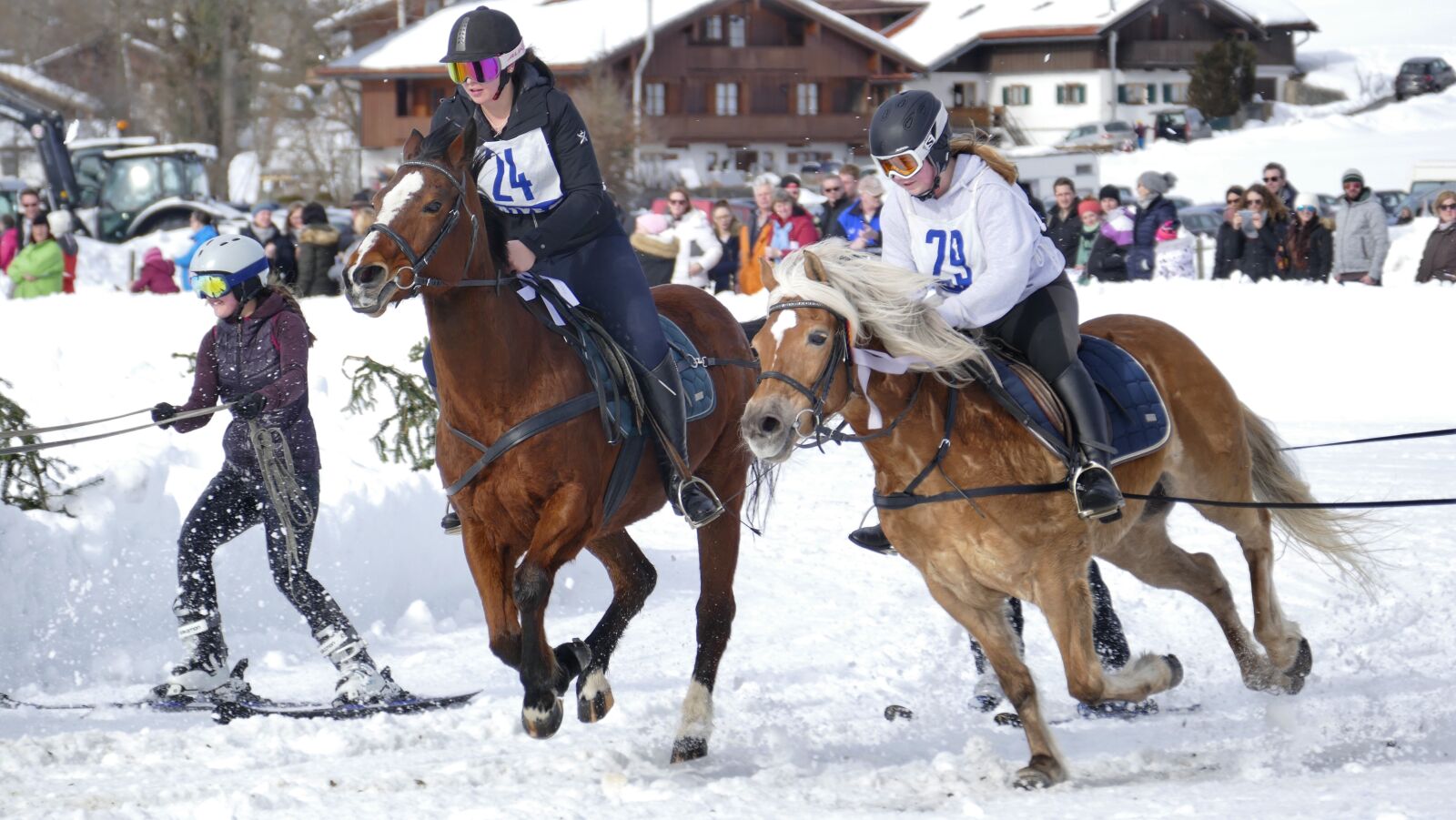 Panasonic Lumix DMC-FZ1000 sample photo. Horse, winter, snow photography