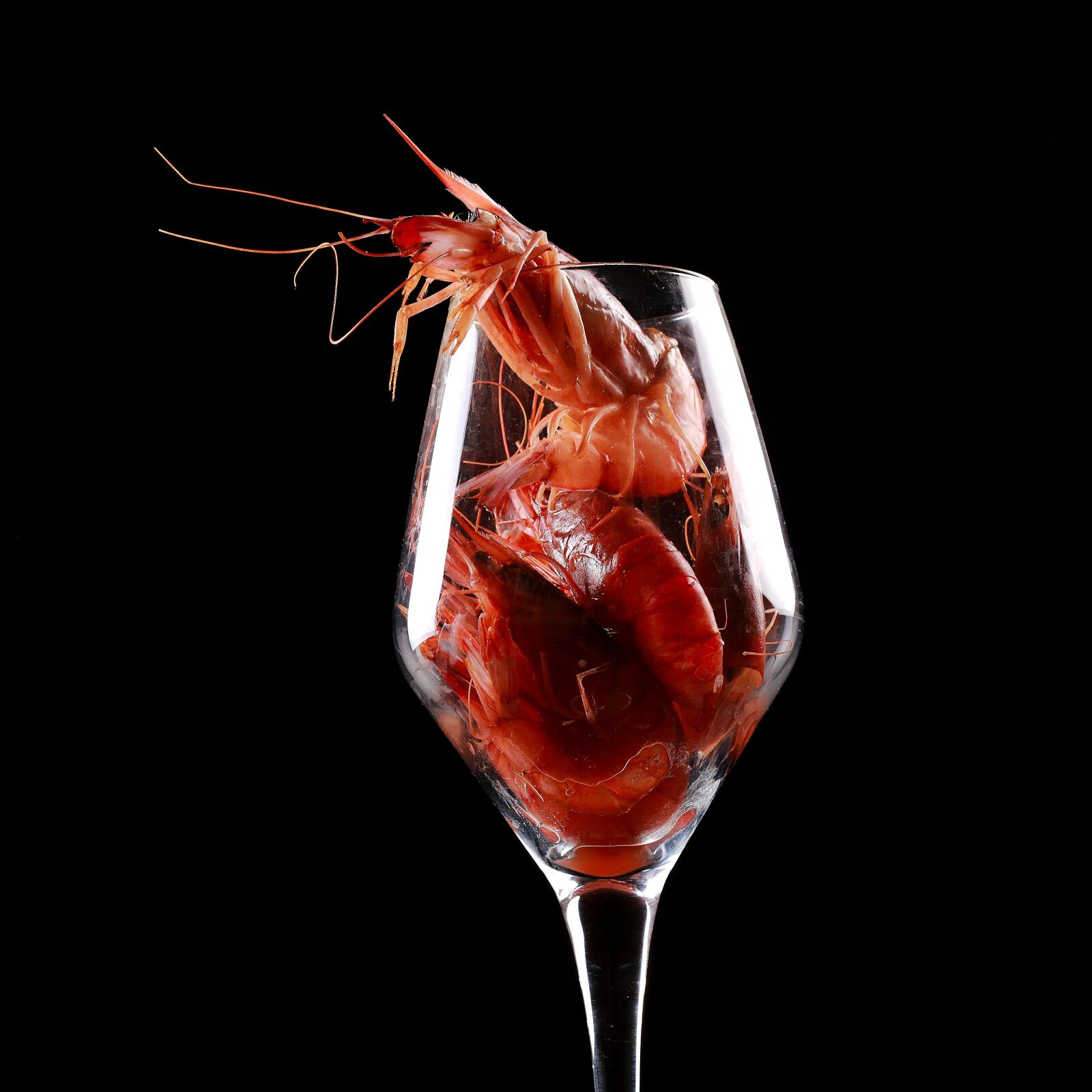 Canon EOS 5D Mark II sample photo. Shrimp, food, red photography