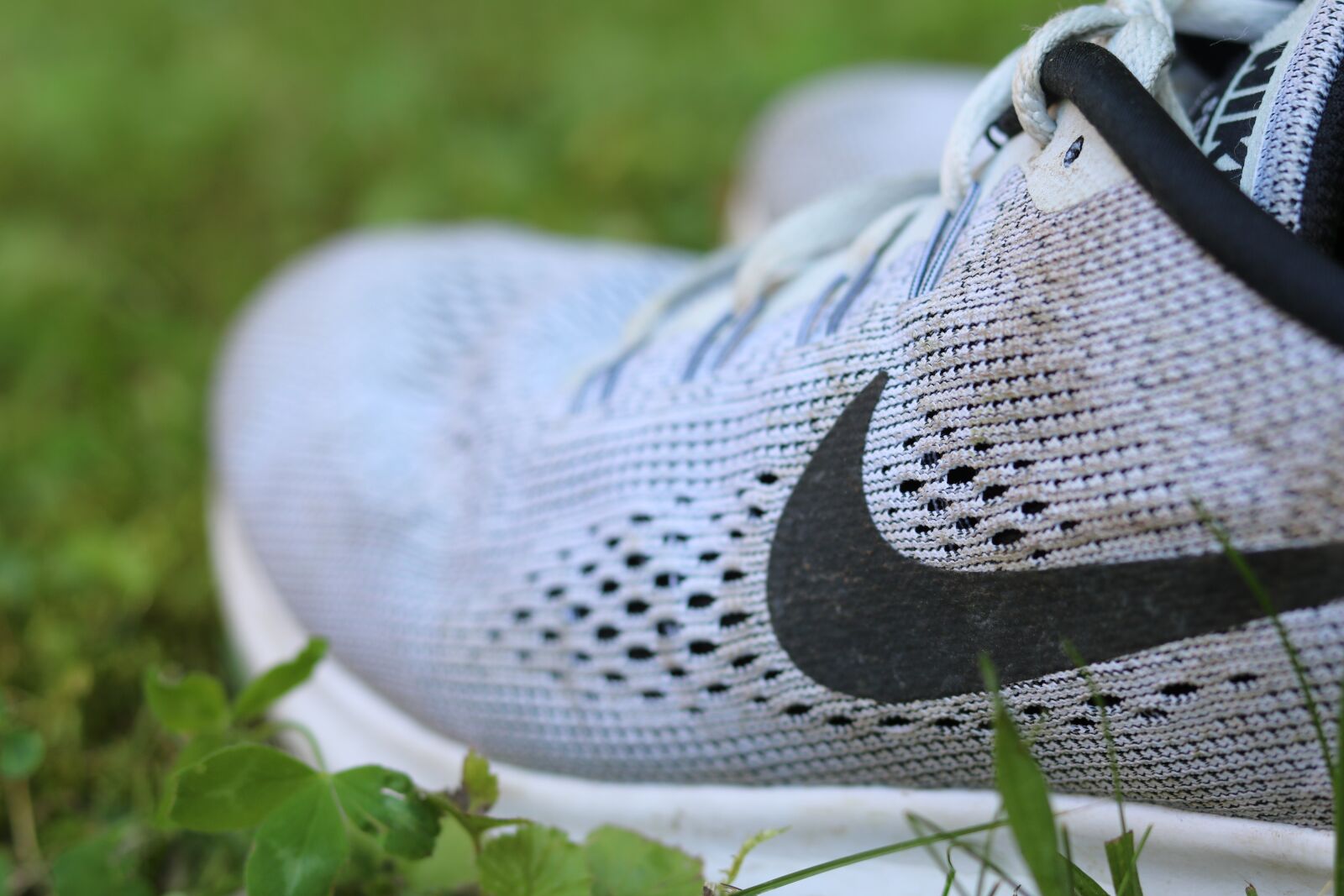 Canon EOS 750D (EOS Rebel T6i / EOS Kiss X8i) sample photo. Sneaker, sport, shoes photography