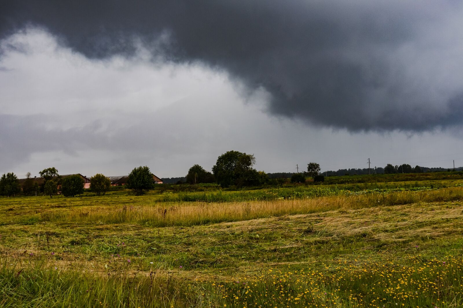 Canon EOS 200D (EOS Rebel SL2 / EOS Kiss X9) sample photo. Field, clouds, cloud photography