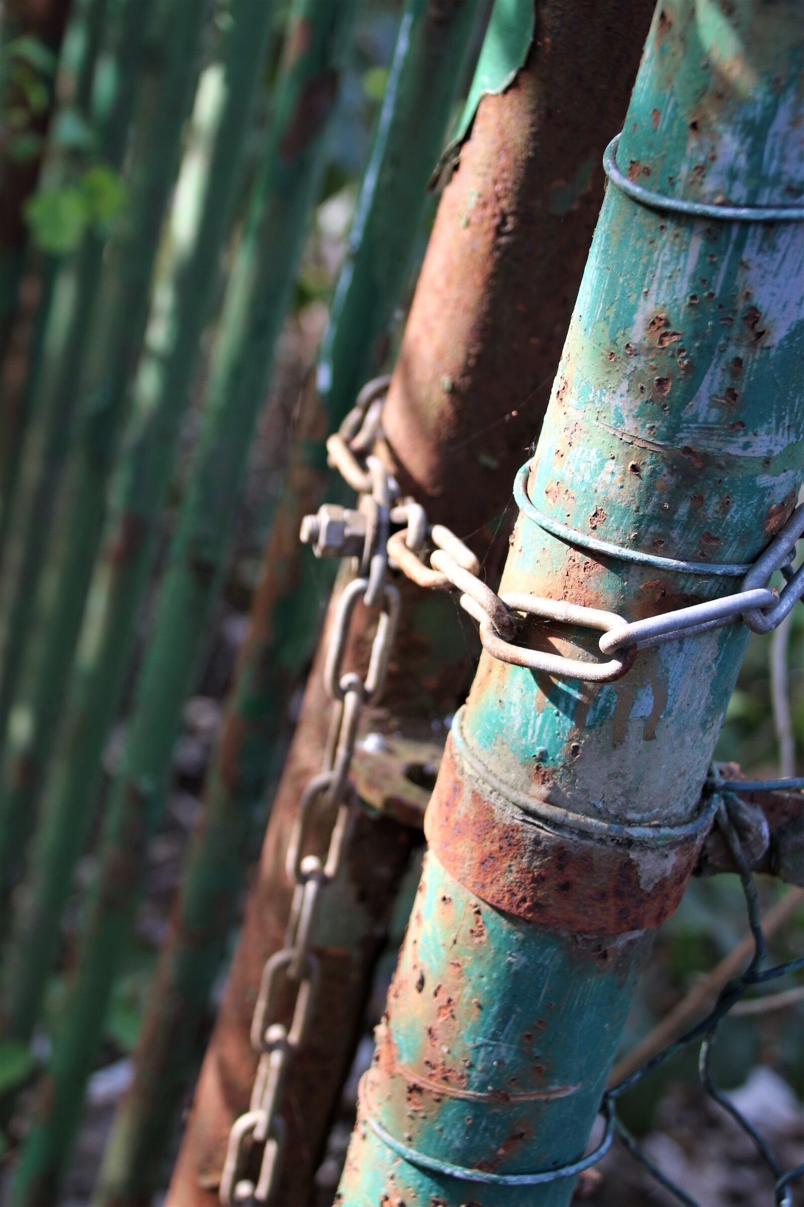 Canon EOS 700D (EOS Rebel T5i / EOS Kiss X7i) sample photo. Door, rust, chain photography