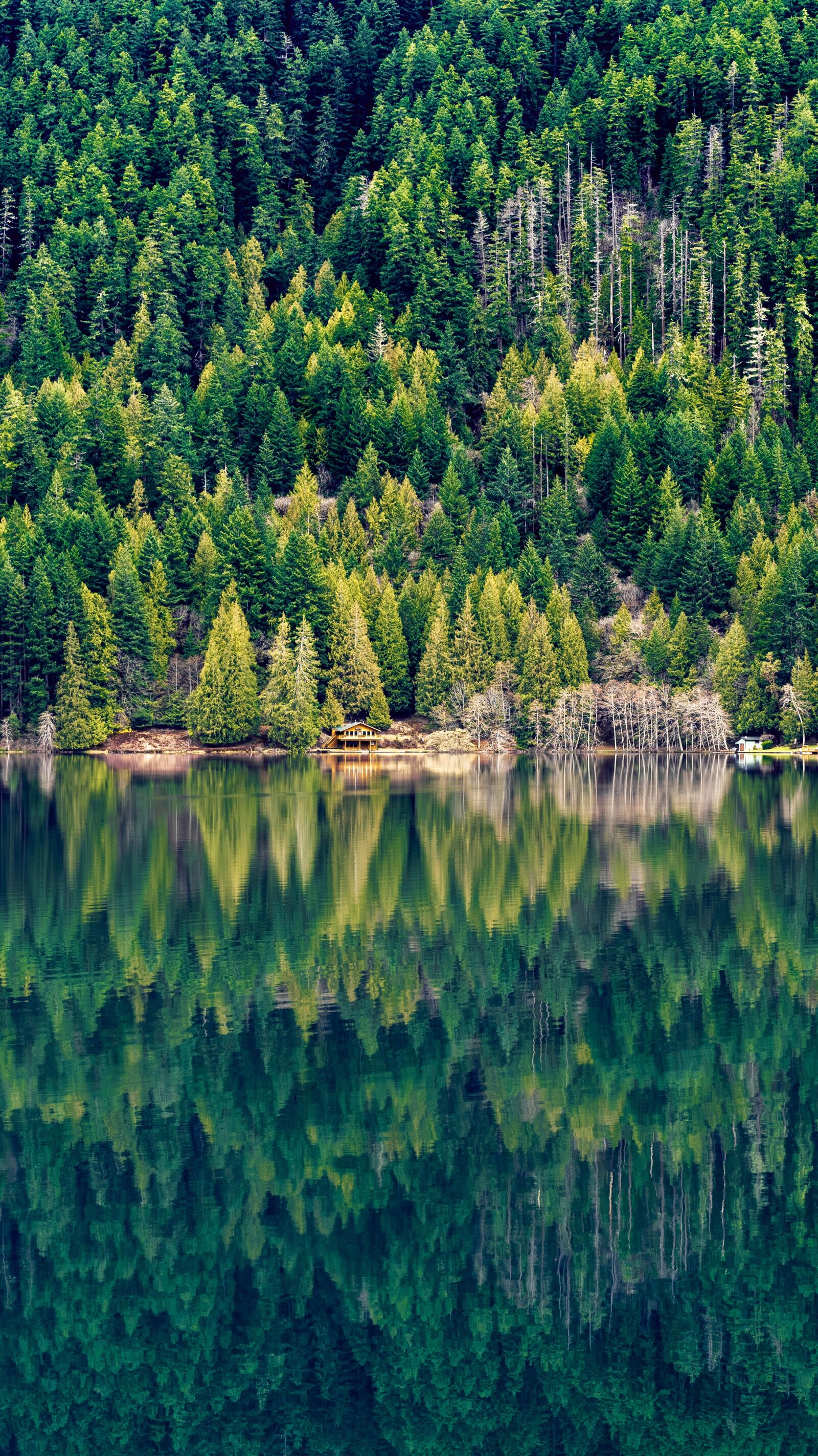 Sony a7R III sample photo. Lake, reflection, forest photography