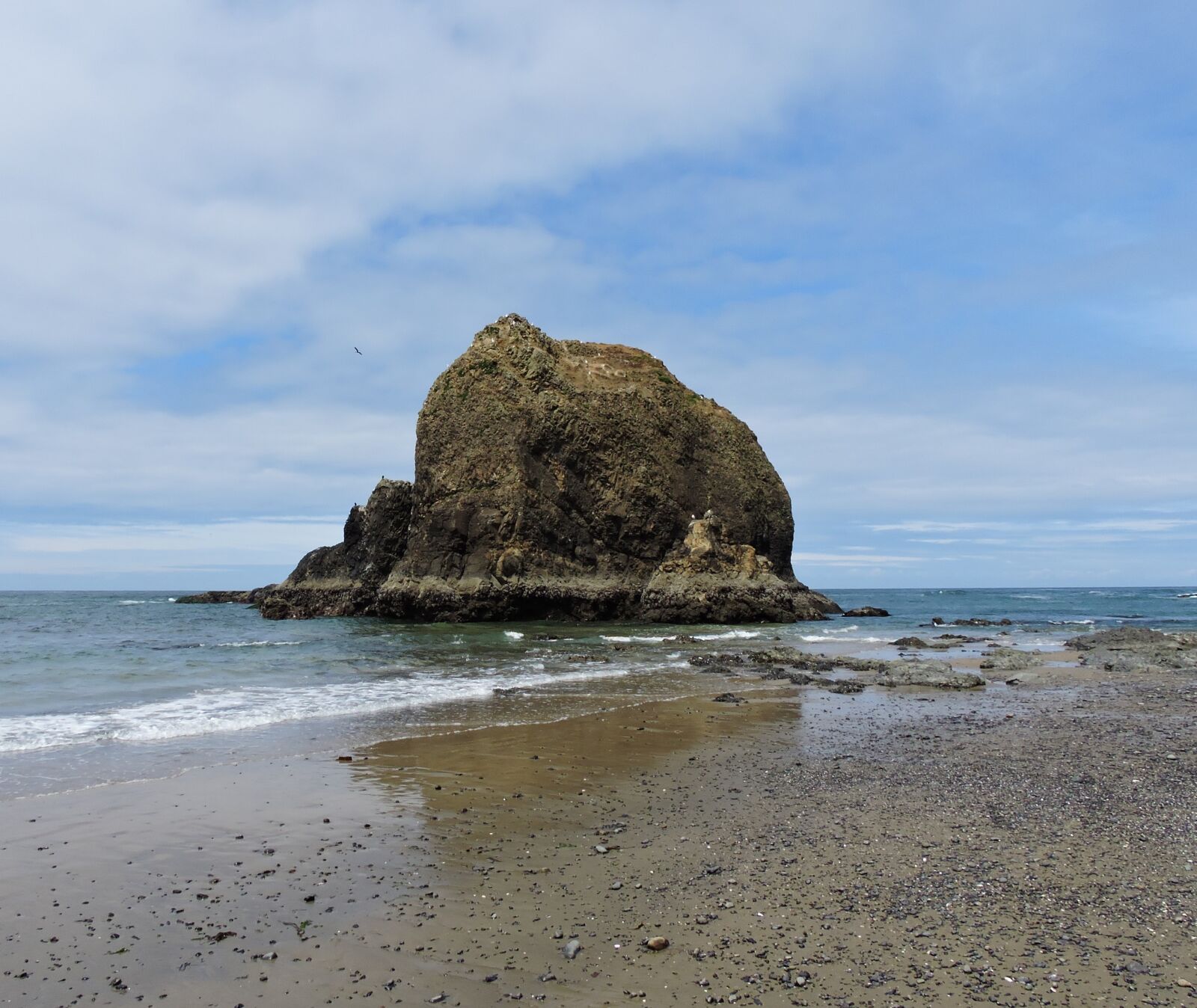 Nikon Coolpix P600 sample photo. Coast, oregon coast, ocean photography