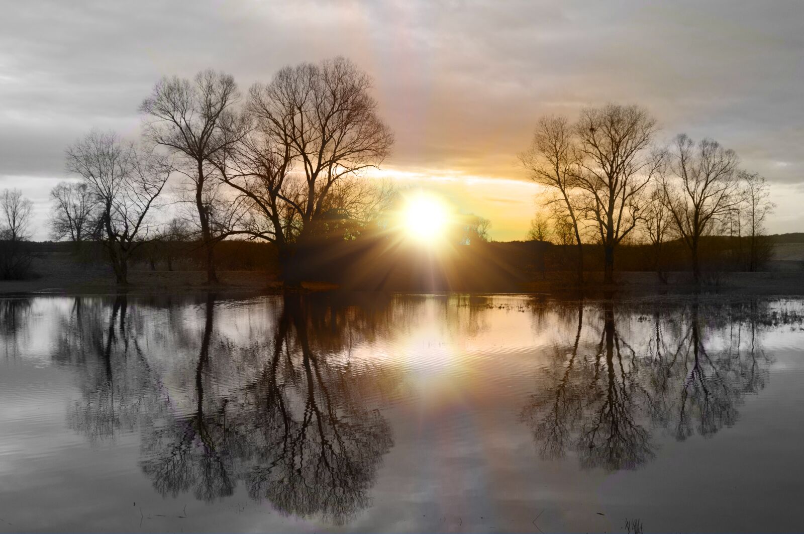 Nikon D90 sample photo. Sun, sunlight, sunset photography