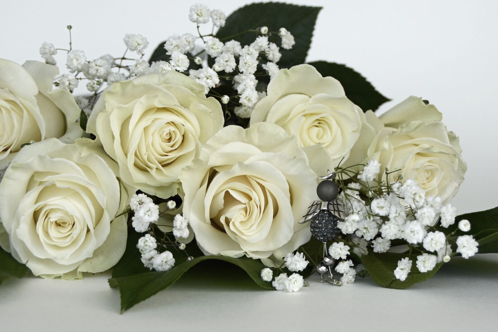 Nikon D7100 sample photo. Roses, rose flower, flowers photography