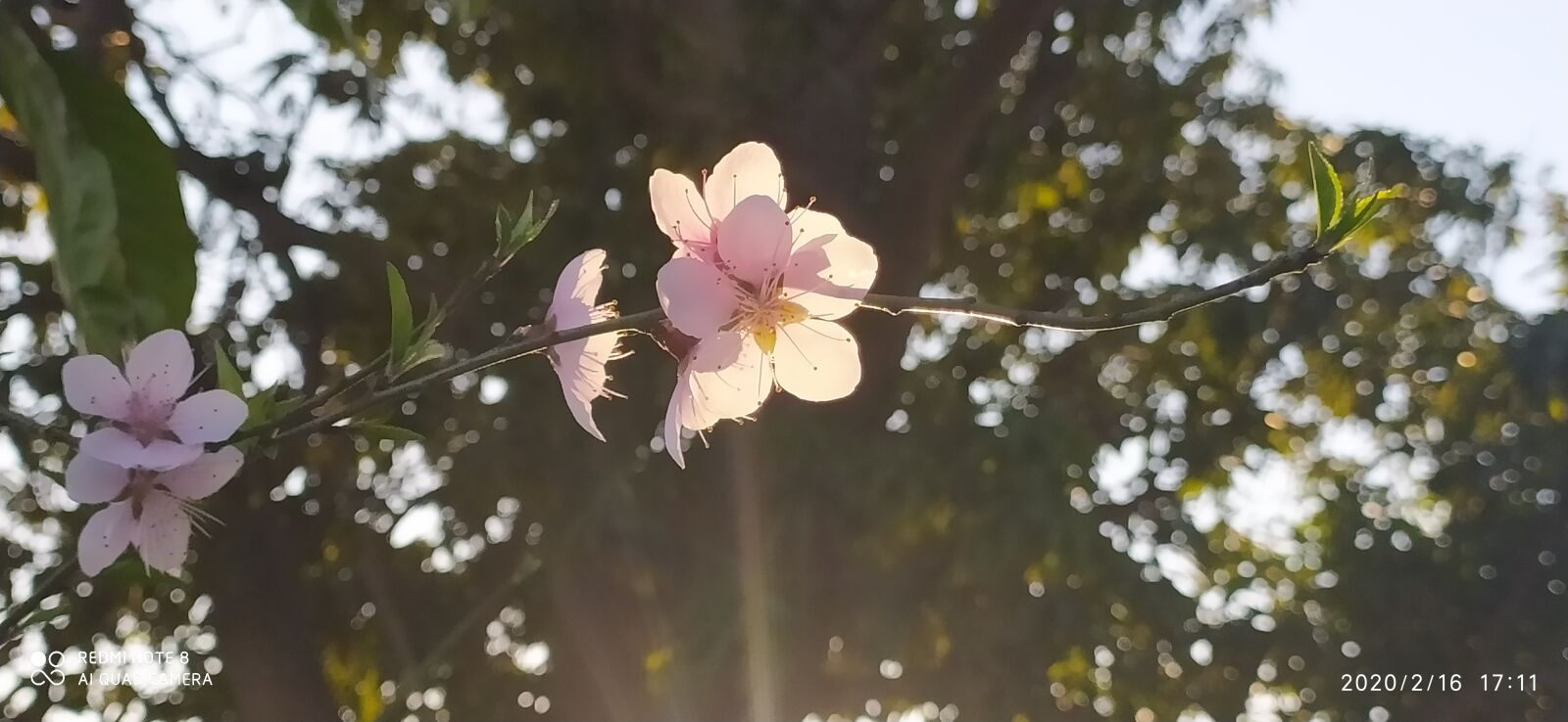 Xiaomi Redmi Note 8 sample photo. Ramadan kareem, ramadan mubarak photography