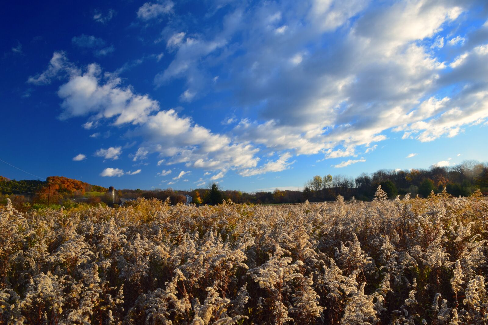 Nikon D3300 sample photo. Field, rural, nature photography