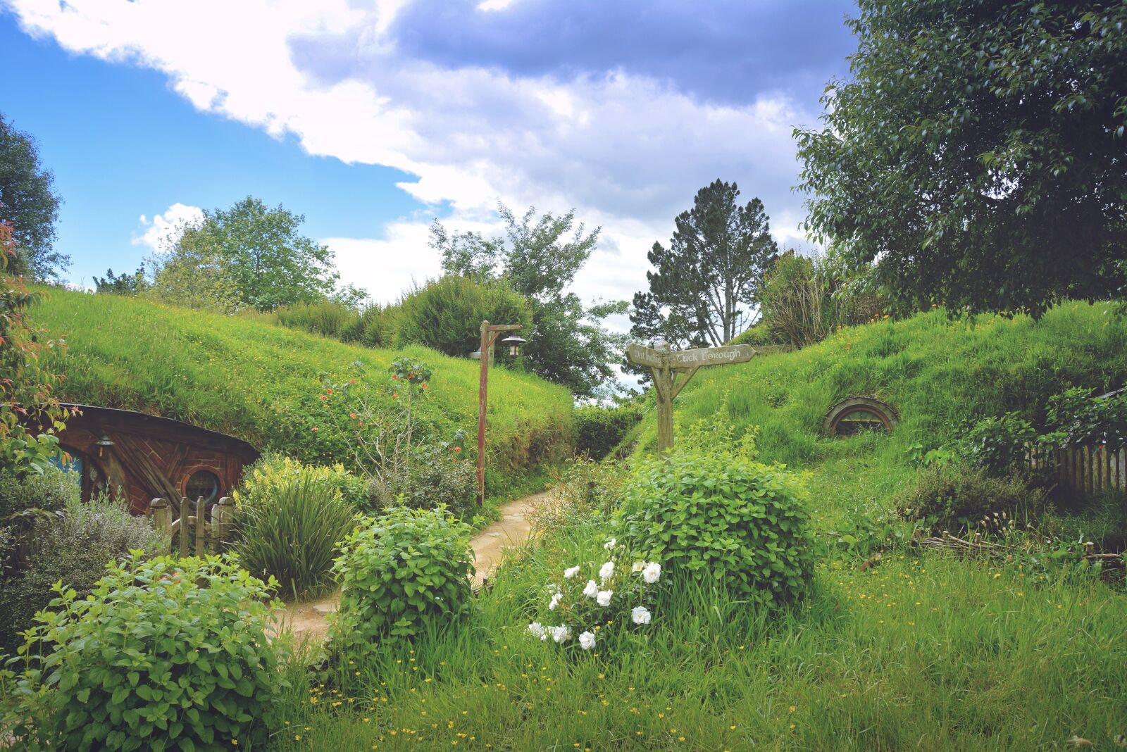 Nikon D7100 sample photo. Hobbiton, green, hobbit photography