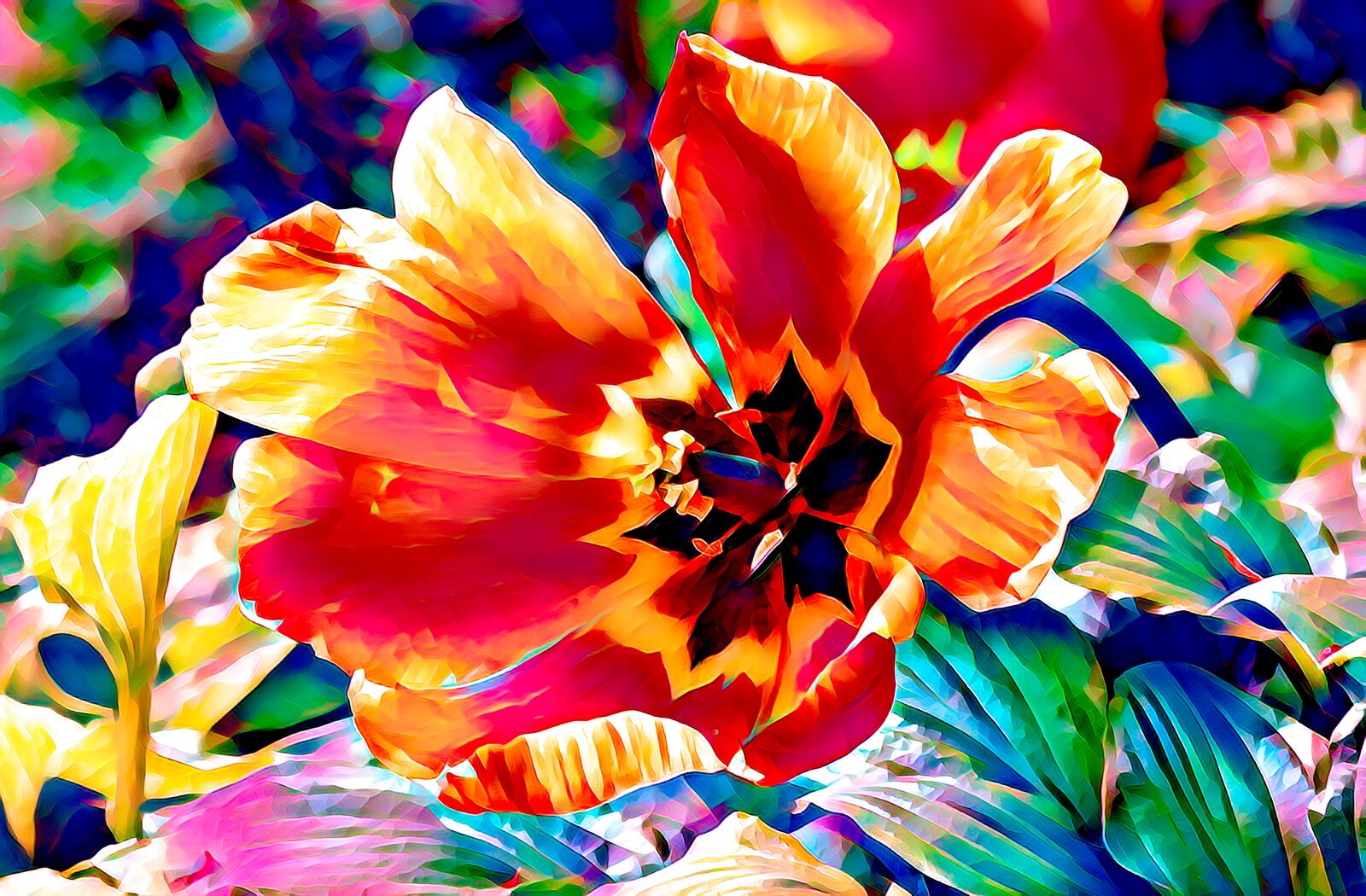 Canon EOS 550D (EOS Rebel T2i / EOS Kiss X4) sample photo. Tulip, flower, blossom photography
