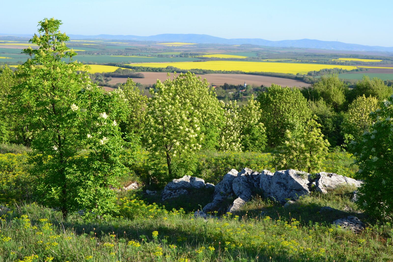 Nikon D3100 sample photo. Landscape, baranya, villany hills photography