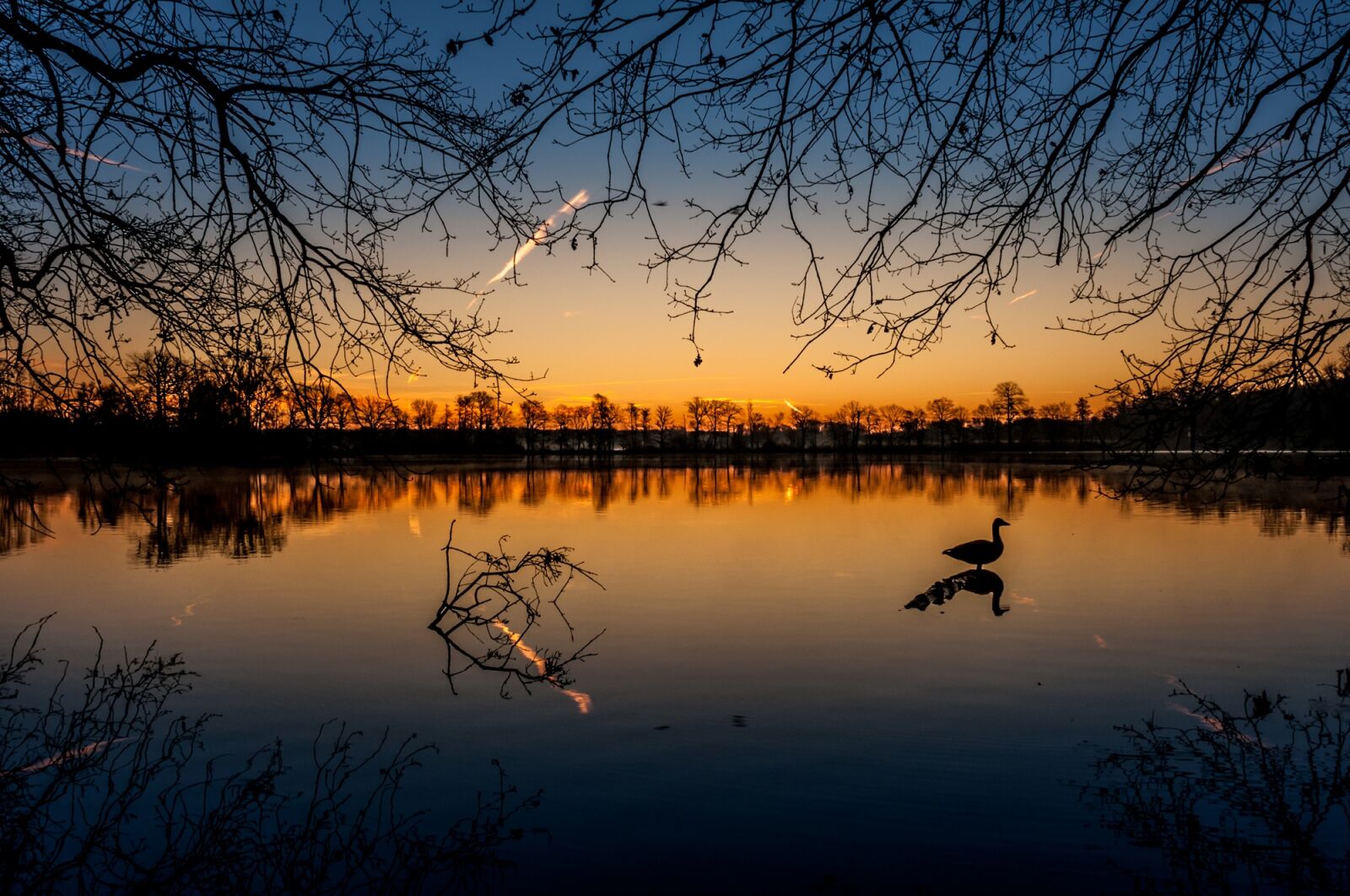Nikon D90 sample photo. Sunrise, lake, sun photography