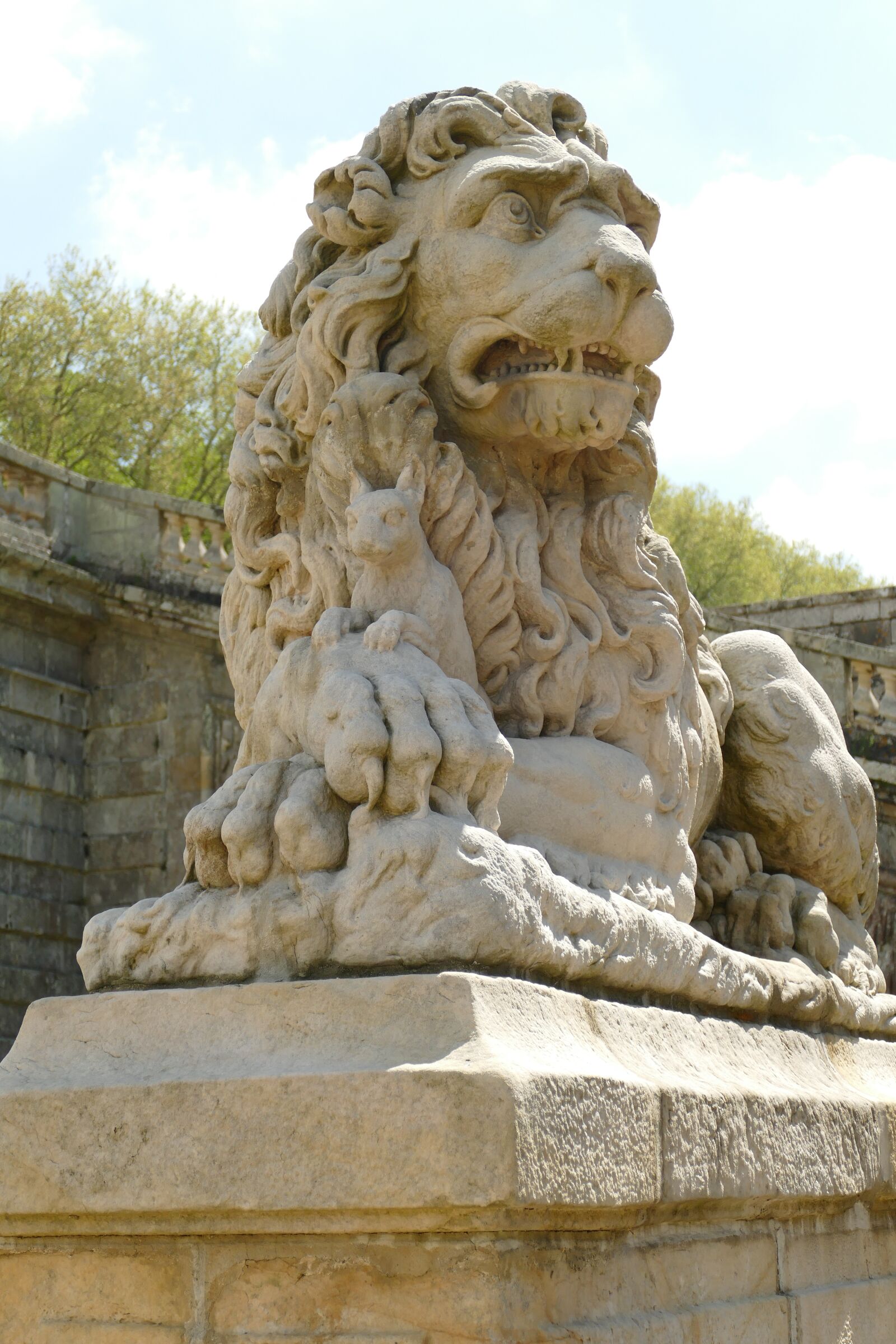 Panasonic Lumix DMC-FZ1000 sample photo. Lion, squirrel, image photography