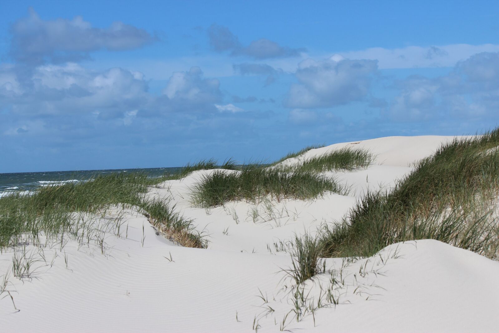 Canon EOS 600D (Rebel EOS T3i / EOS Kiss X5) sample photo. Summer, dunes, beach photography
