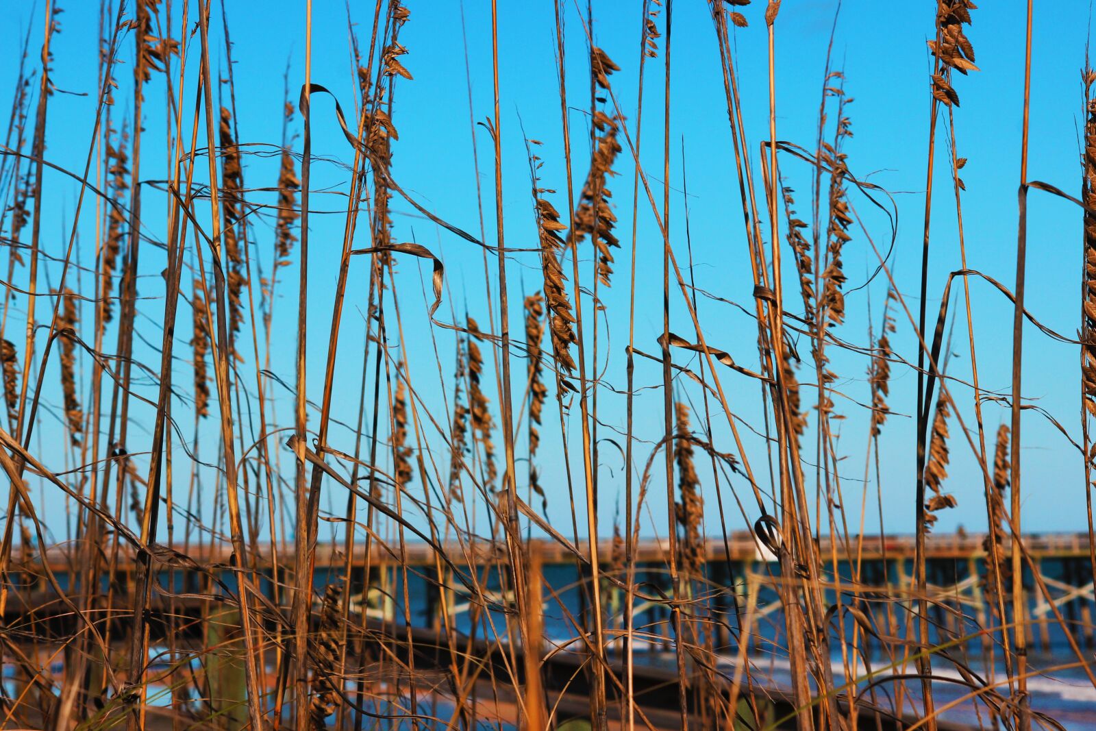Canon EOS 600D (Rebel EOS T3i / EOS Kiss X5) sample photo. Landscape, beach, costa photography