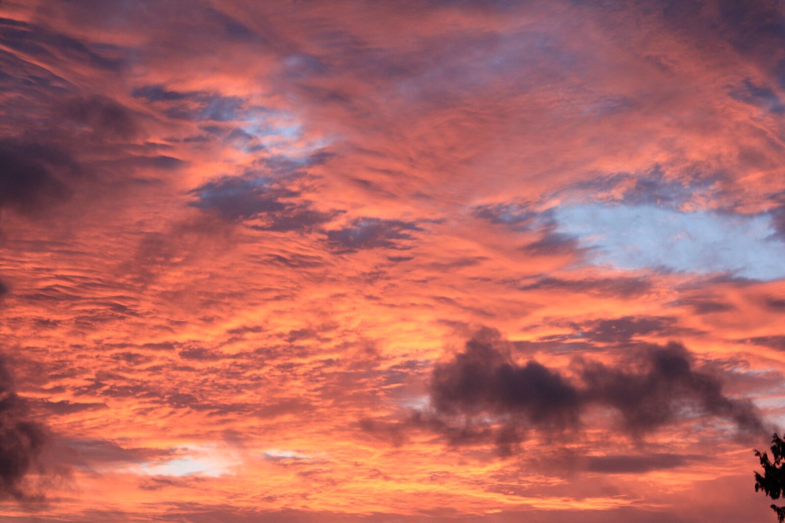 Canon EOS 550D (EOS Rebel T2i / EOS Kiss X4) sample photo. Sky, red, sunset photography