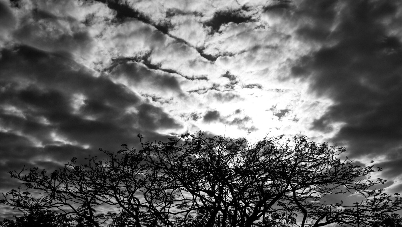 Nikon D7100 sample photo. Sky, trees, clouds photography