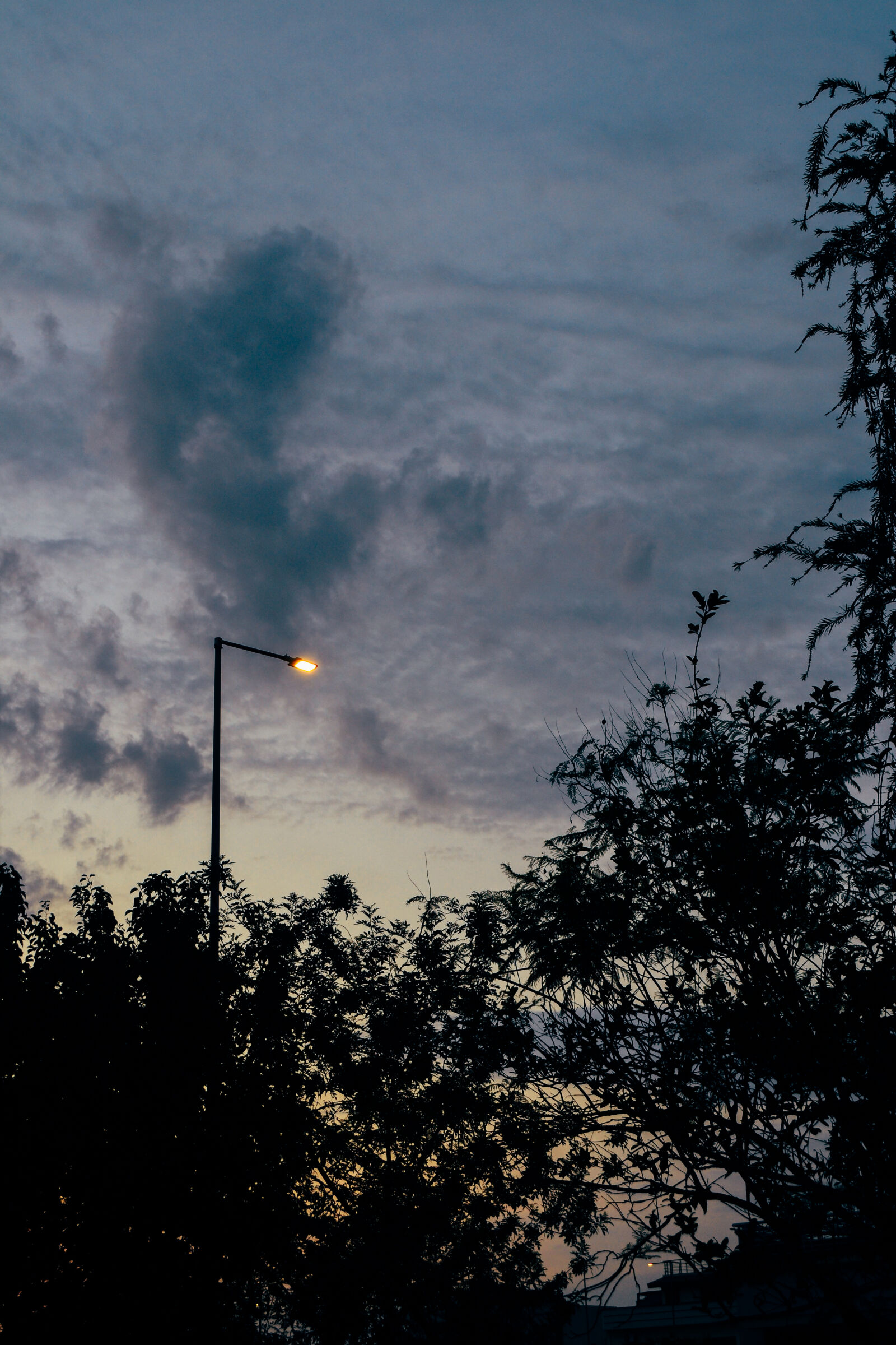 Nikon D3100 sample photo