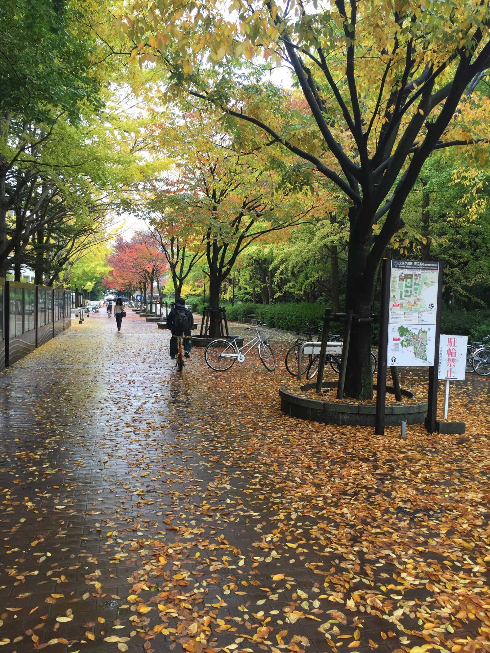 Apple iPhone 6 sample photo. Osaka university, toyonaka campus photography