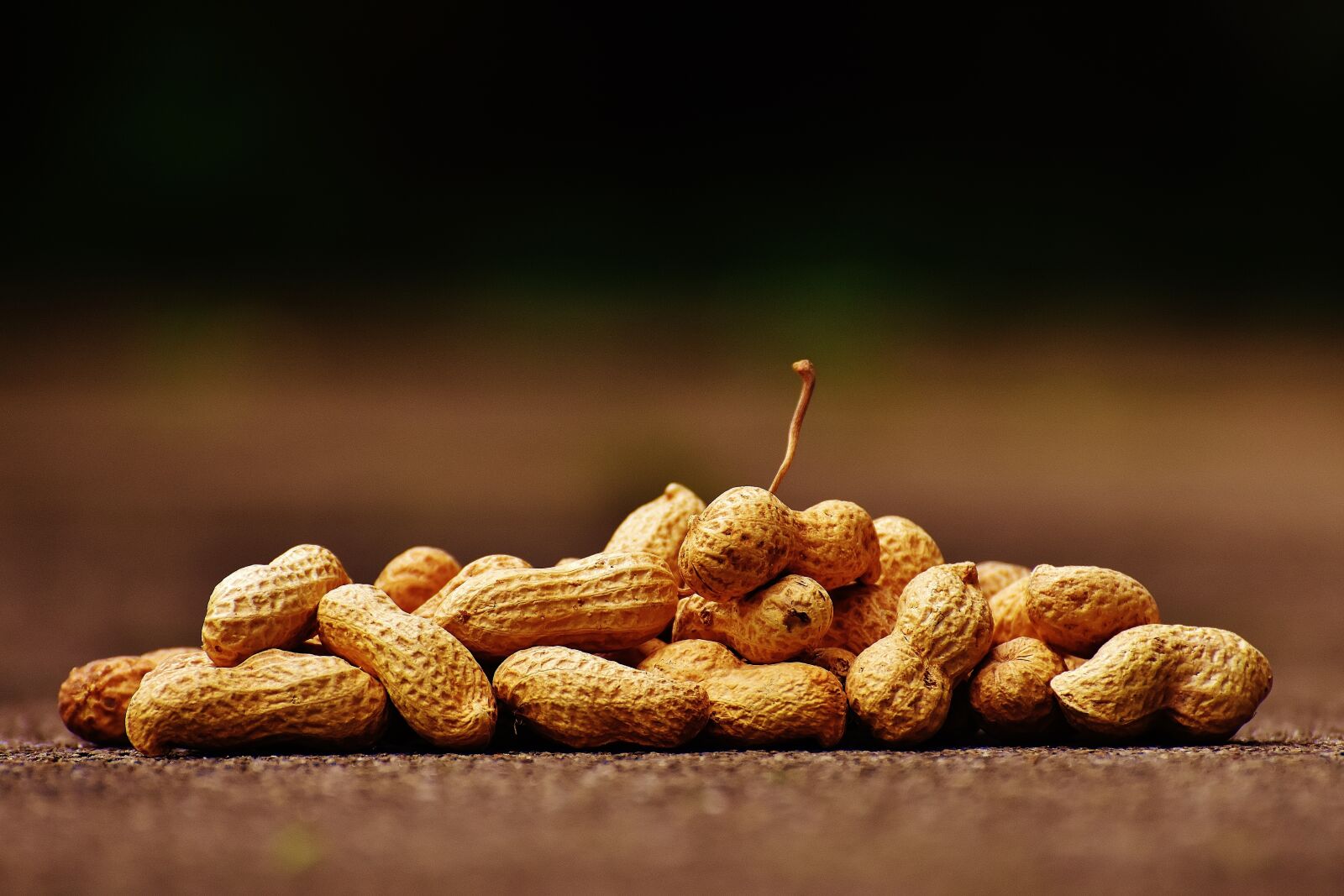 Nikon D7200 sample photo. Peanuts, shell, food photography