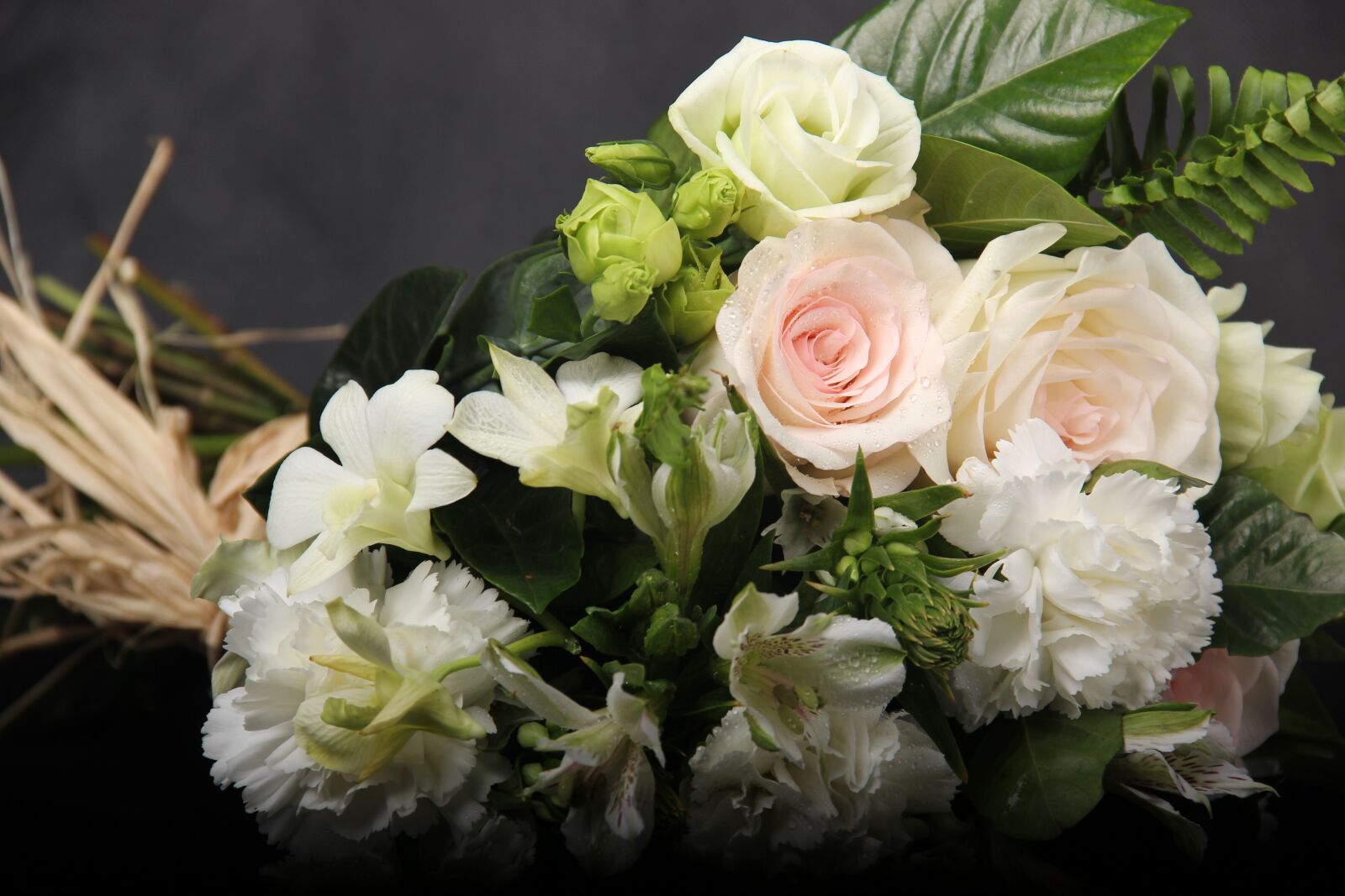 Canon EF-S 18-135mm F3.5-5.6 IS sample photo. Flowers, elegant, painting photography