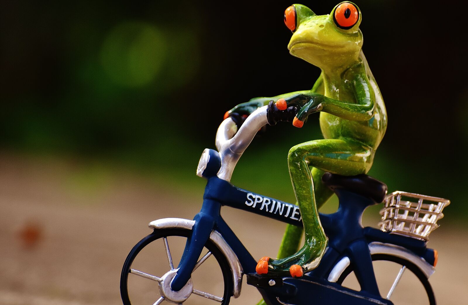Nikon D7200 sample photo. Frog, bike, uphill photography