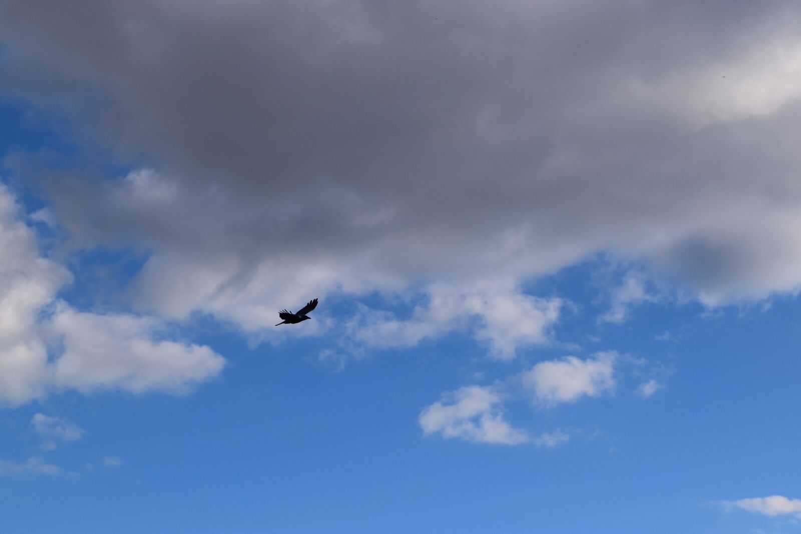 Nikon D3300 sample photo. Winter sky, berlin, clouds photography