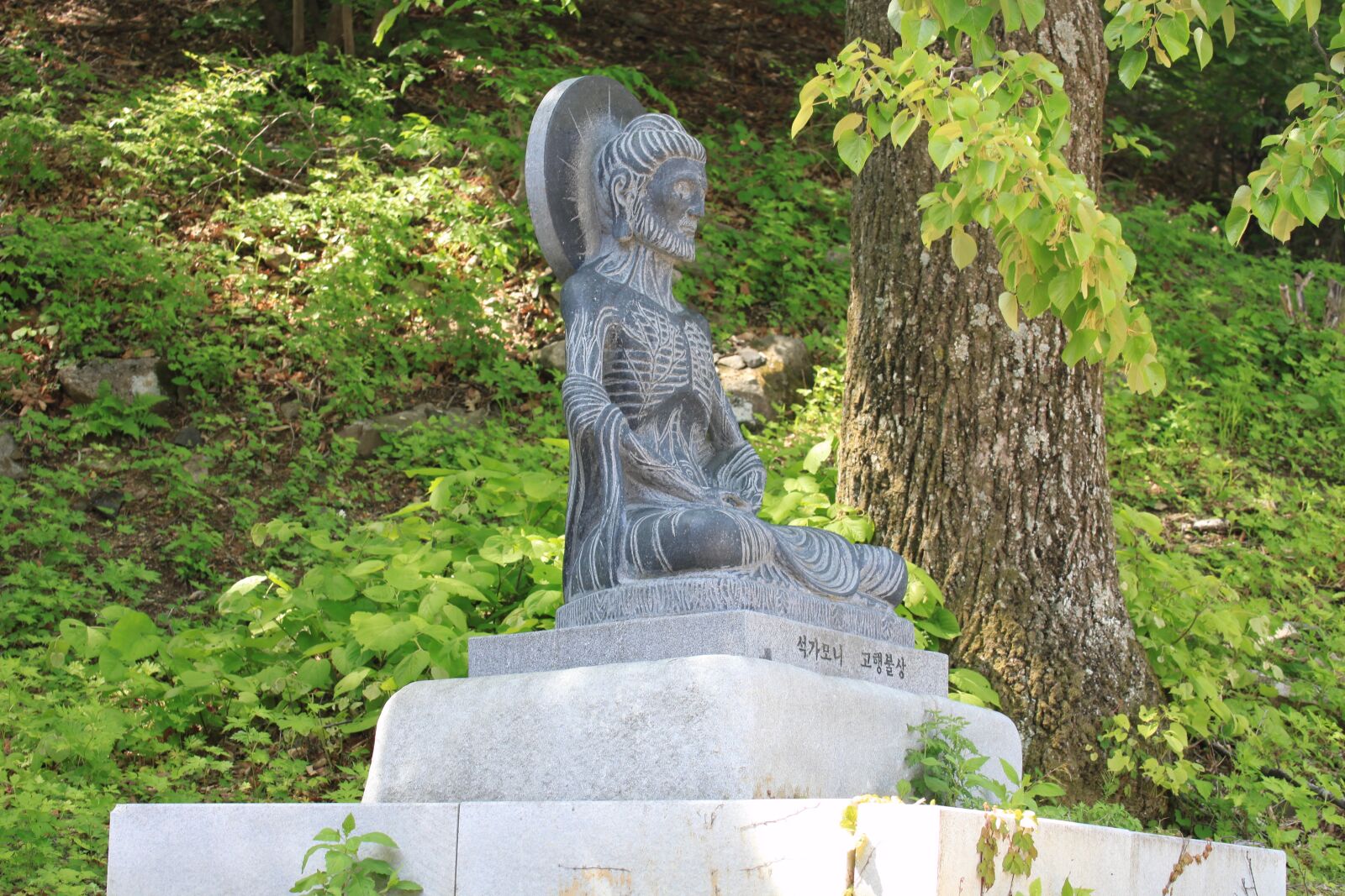 Canon EOS 500D (EOS Rebel T1i / EOS Kiss X3) sample photo. Buddha, stone, black photography