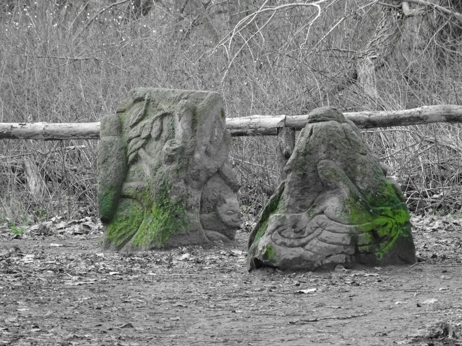 Sony Cyber-shot DSC-HX300 sample photo. Forest, away, trees photography