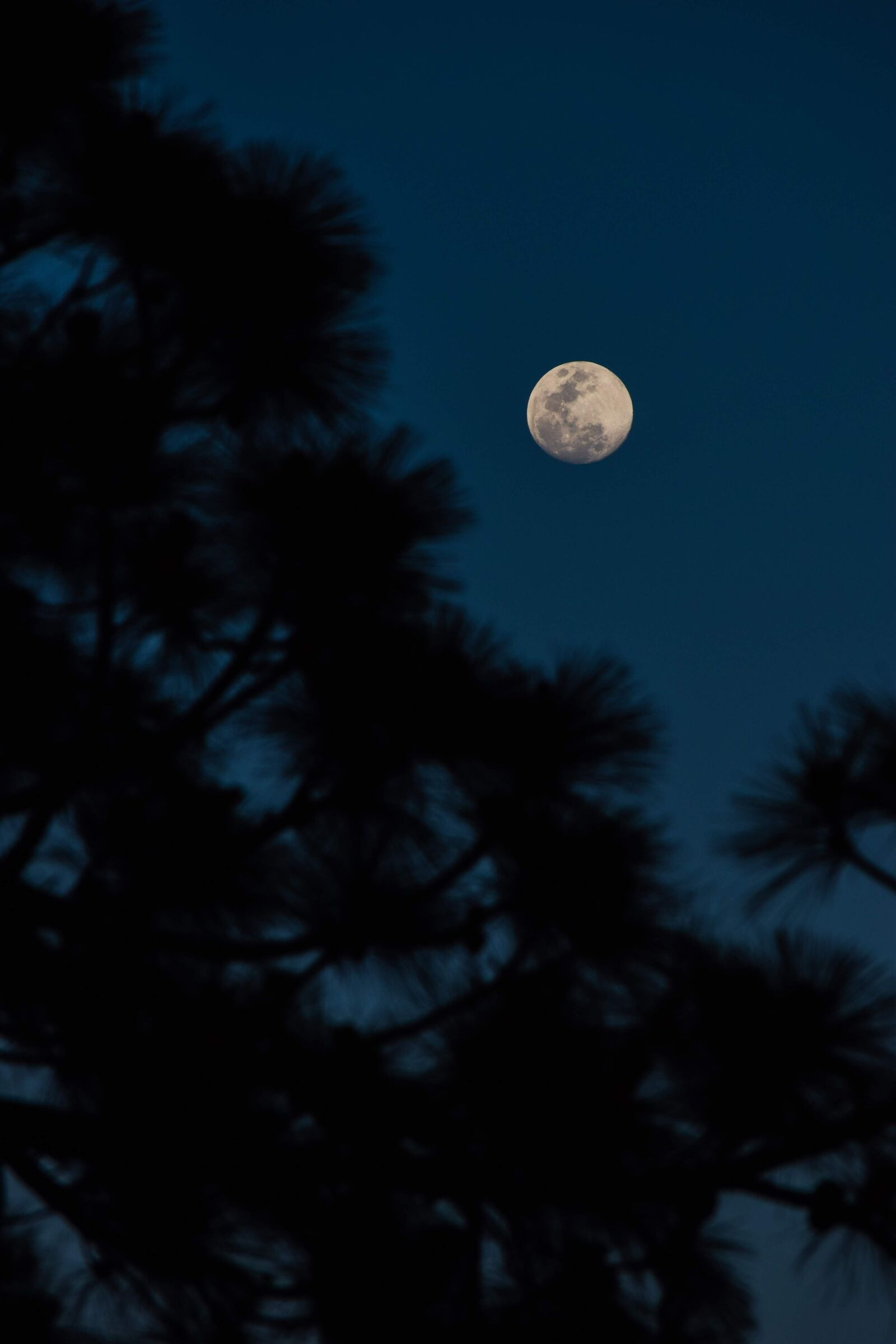 Nikon D3300 sample photo. Sierra de tamazula, sinaloa photography