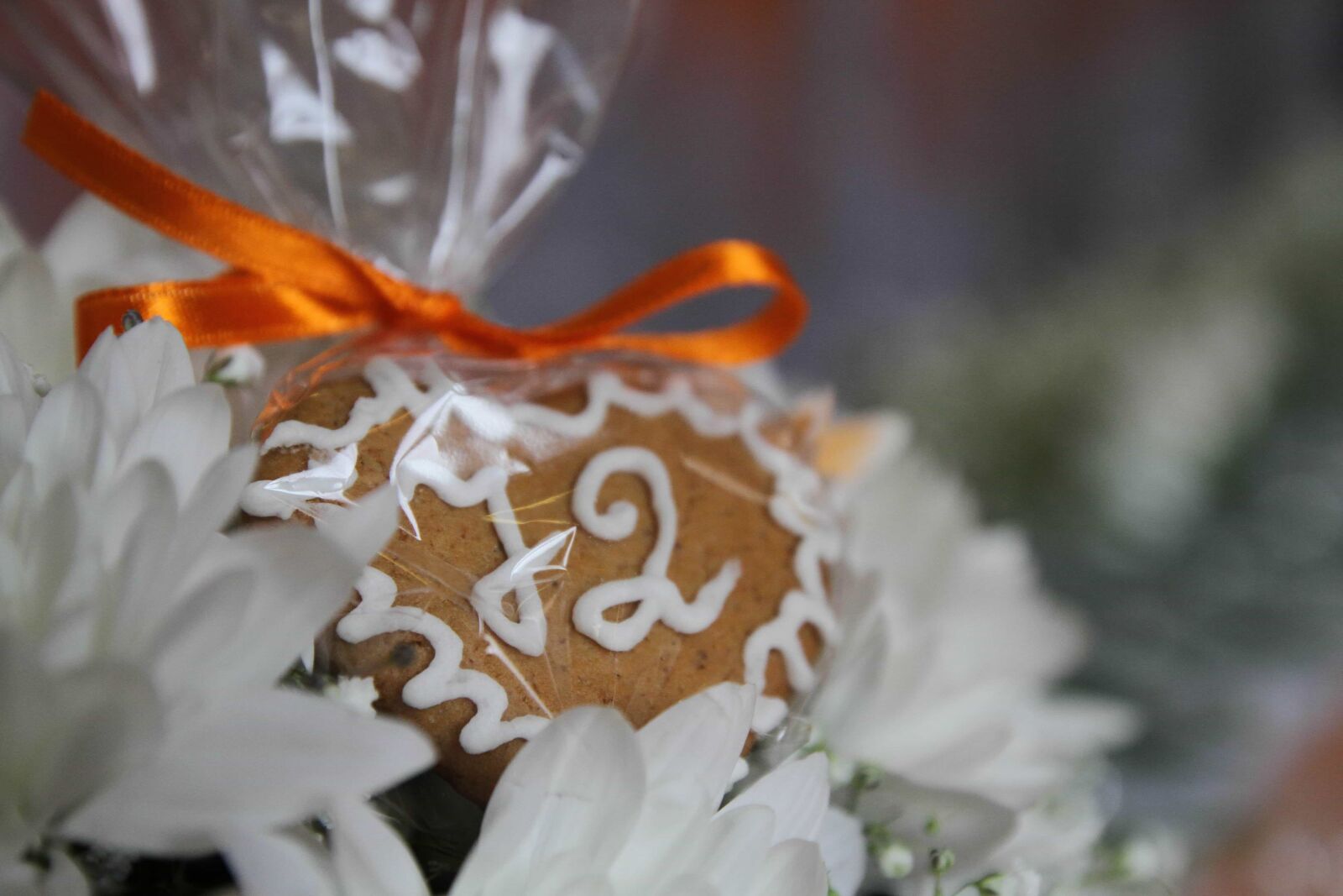 Canon EOS 7D sample photo. Baked goods, biscuit, gingerbread photography
