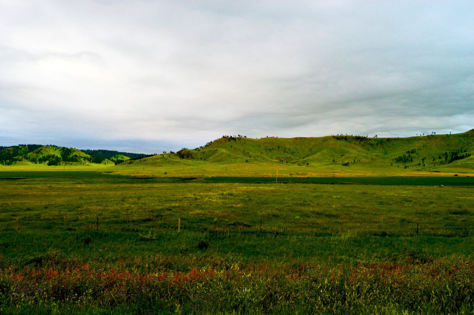 Nikon D3200 sample photo. Grassland, south dakota, horizon photography