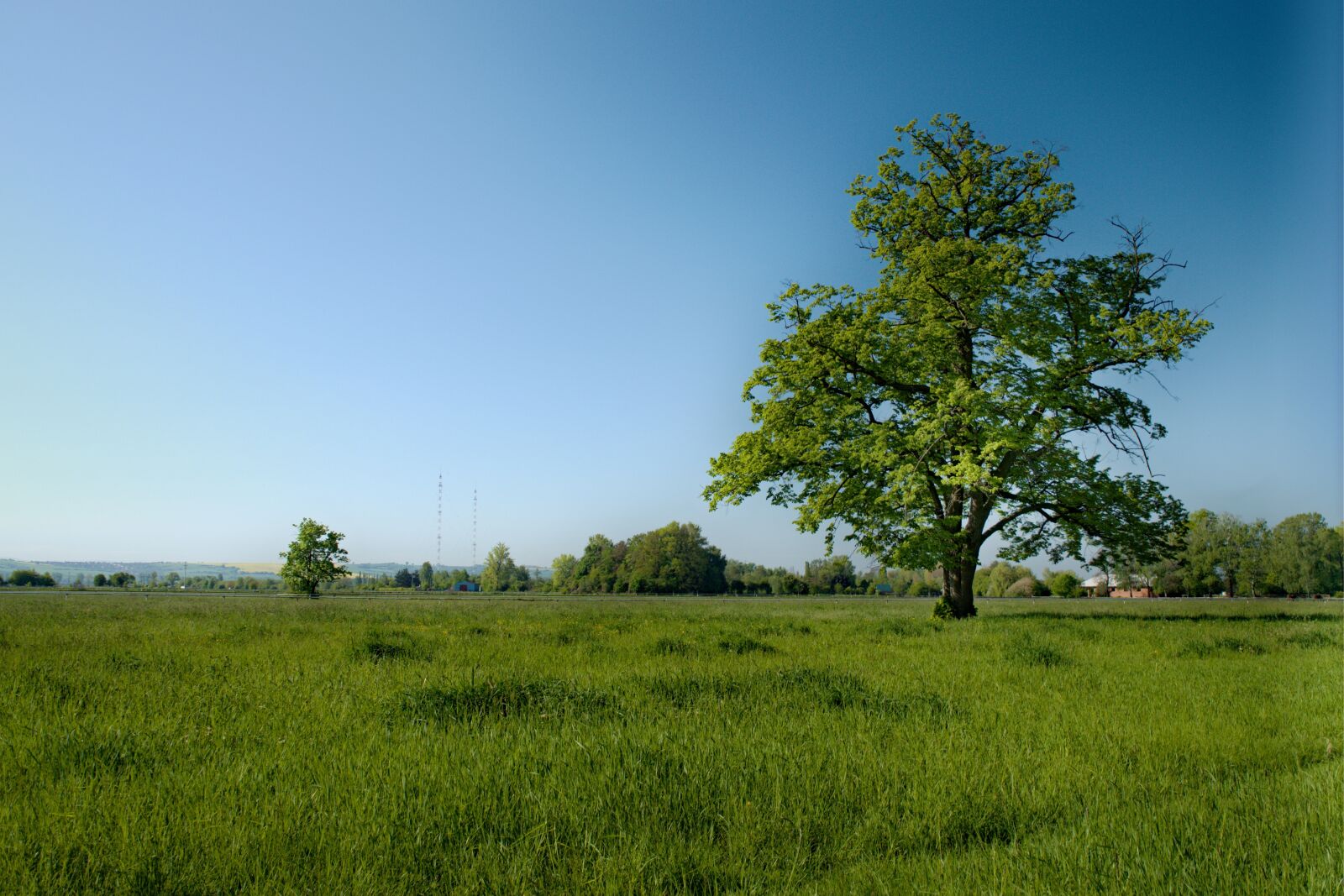 18.00 - 55.00 mm f/3.5 - 5.6 sample photo. Tree, grass, meadow photography