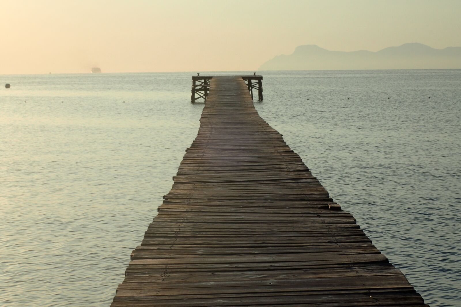 Olympus TG-4 sample photo. Sea, web, wood photography