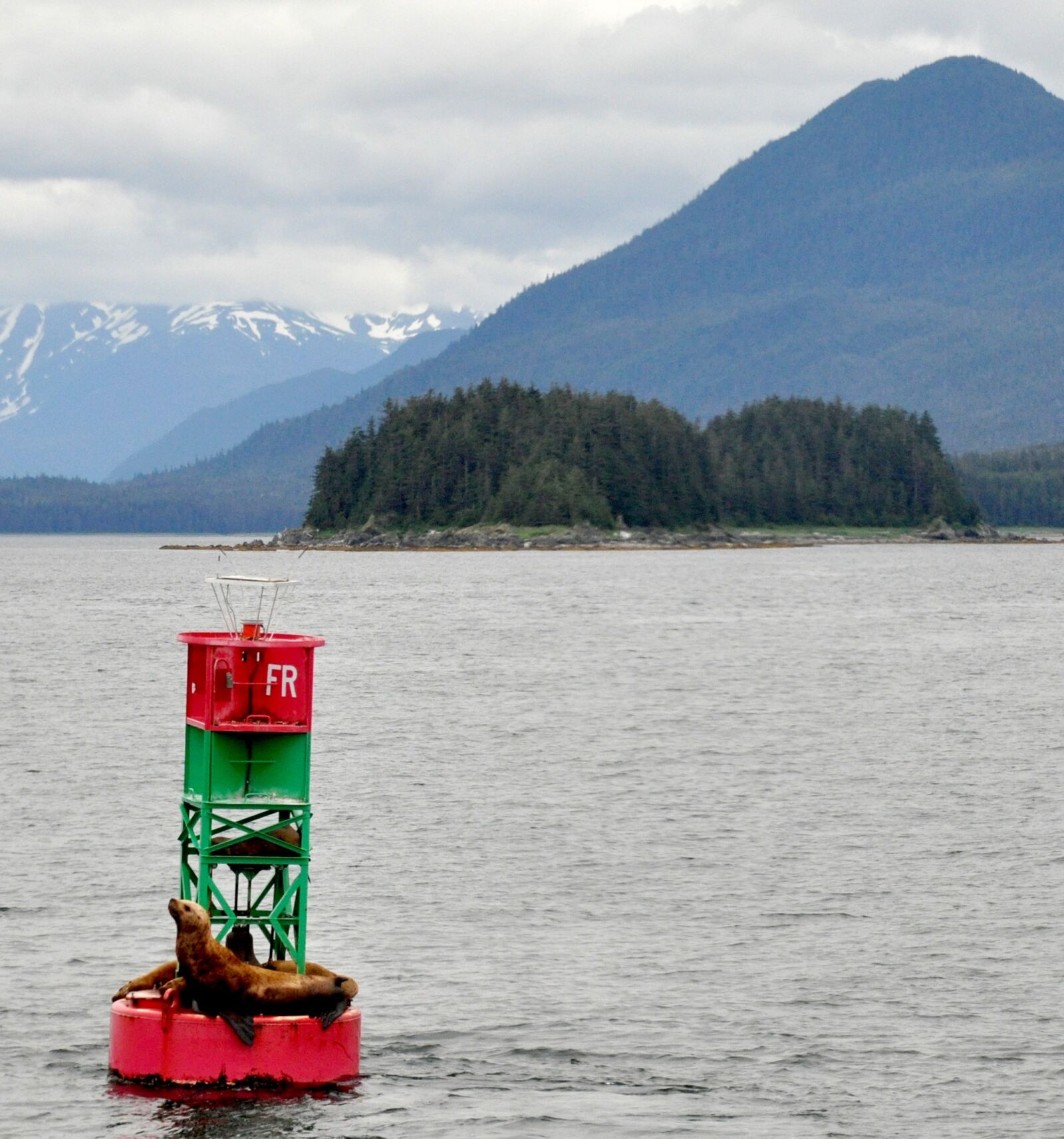 Nikon D90 sample photo. Alaska, sea lions, marine photography