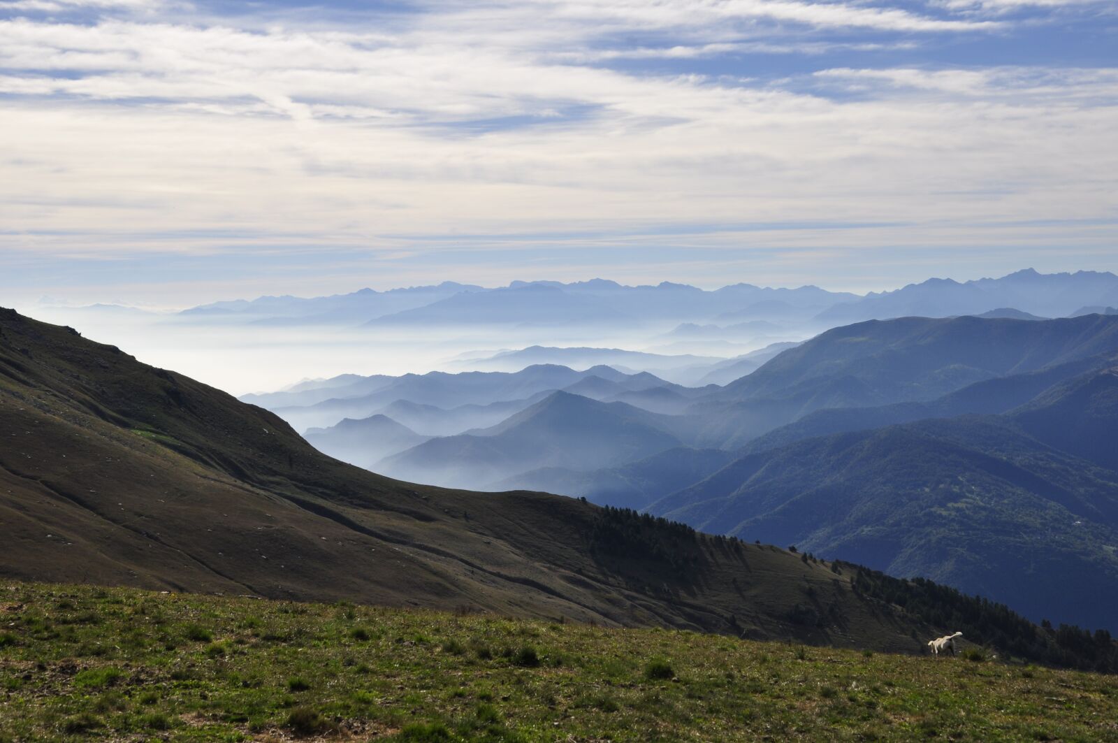 Nikon D5000 sample photo. Horizon, landscape, nature photography