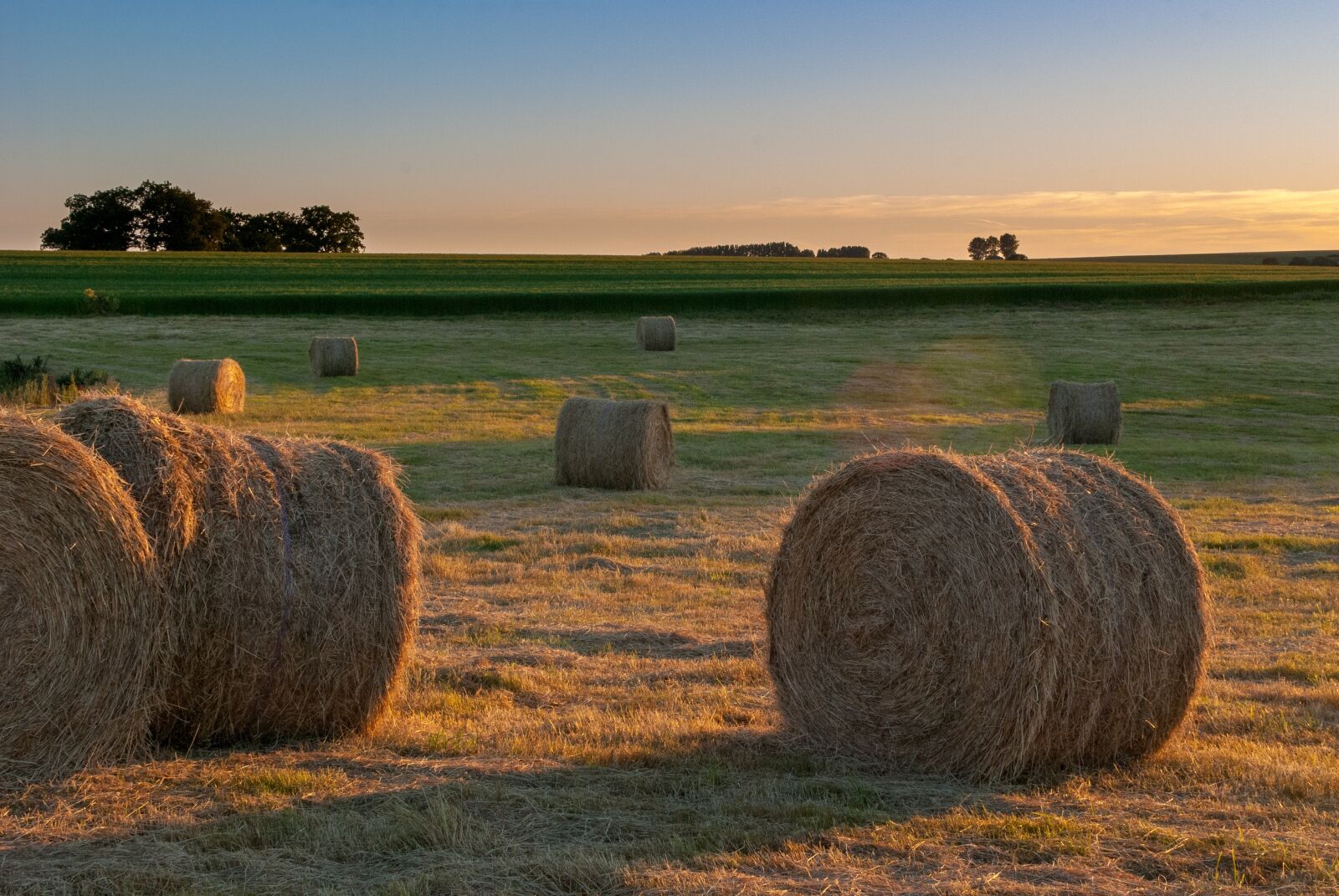 Nikon D80 sample photo. Boot, fields, sunset photography