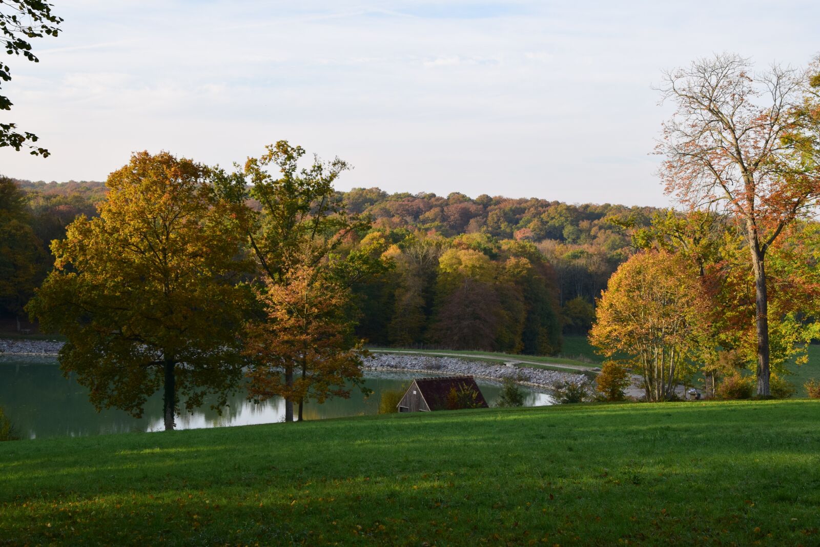 Nikon D5300 sample photo. Normandy, nature, park photography