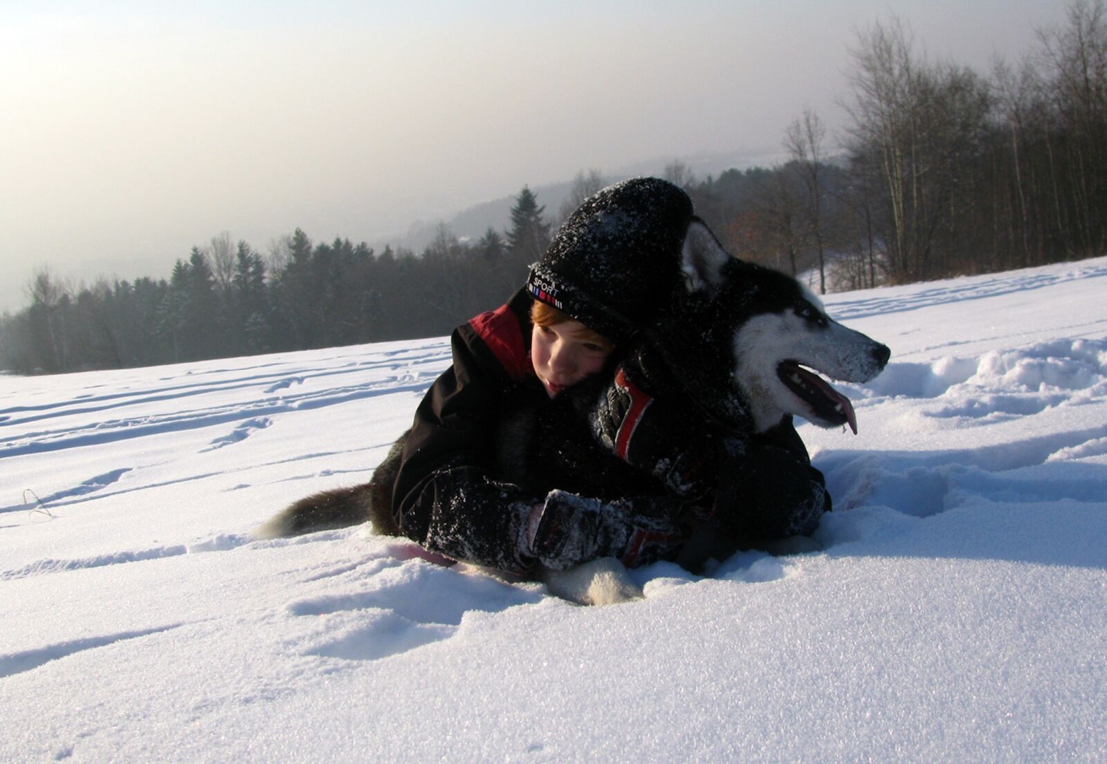 Canon POWERSHOT SX100 IS sample photo. Dog, husky, snow photography