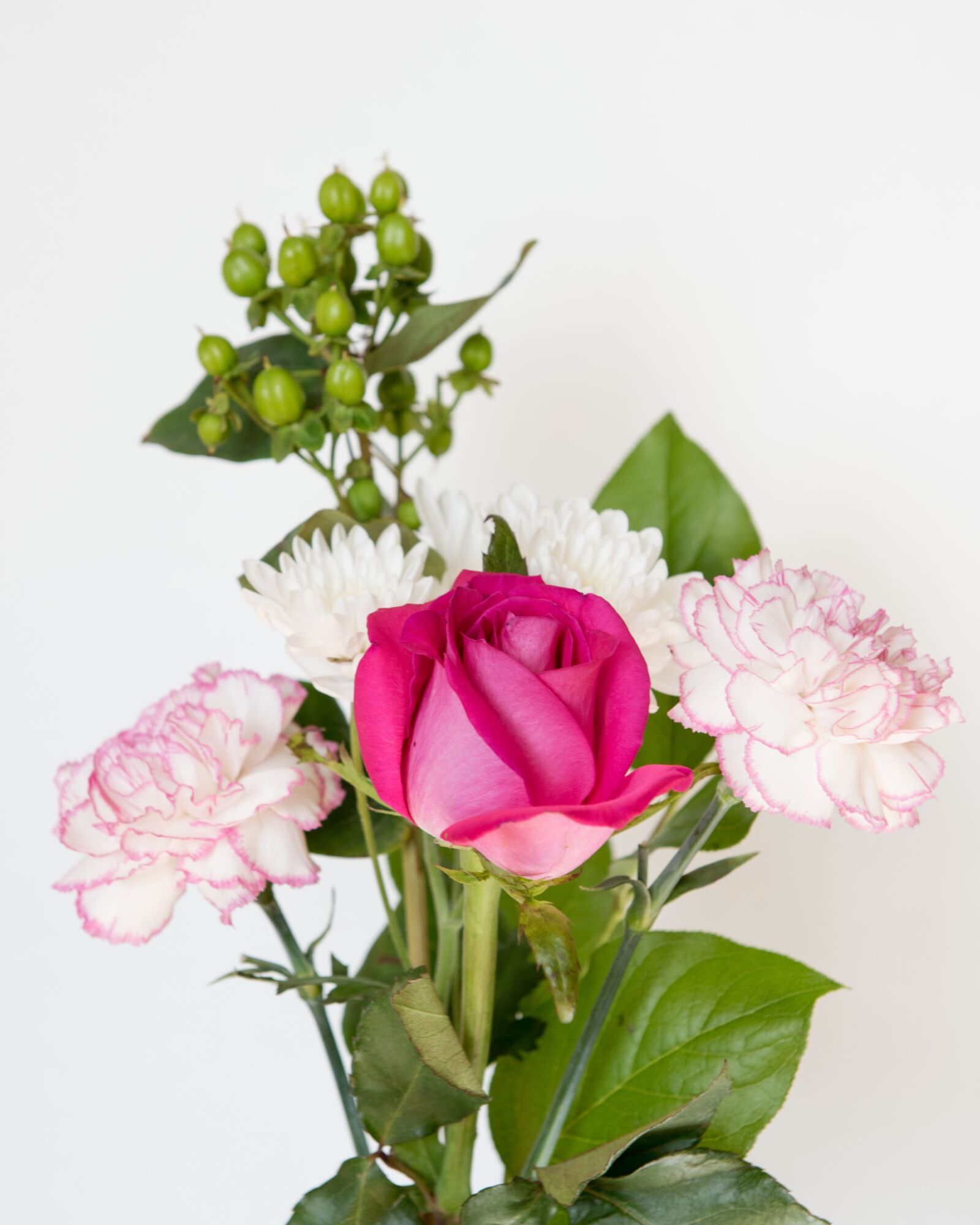 Nikon D810 sample photo. Pink rose, flower, white photography