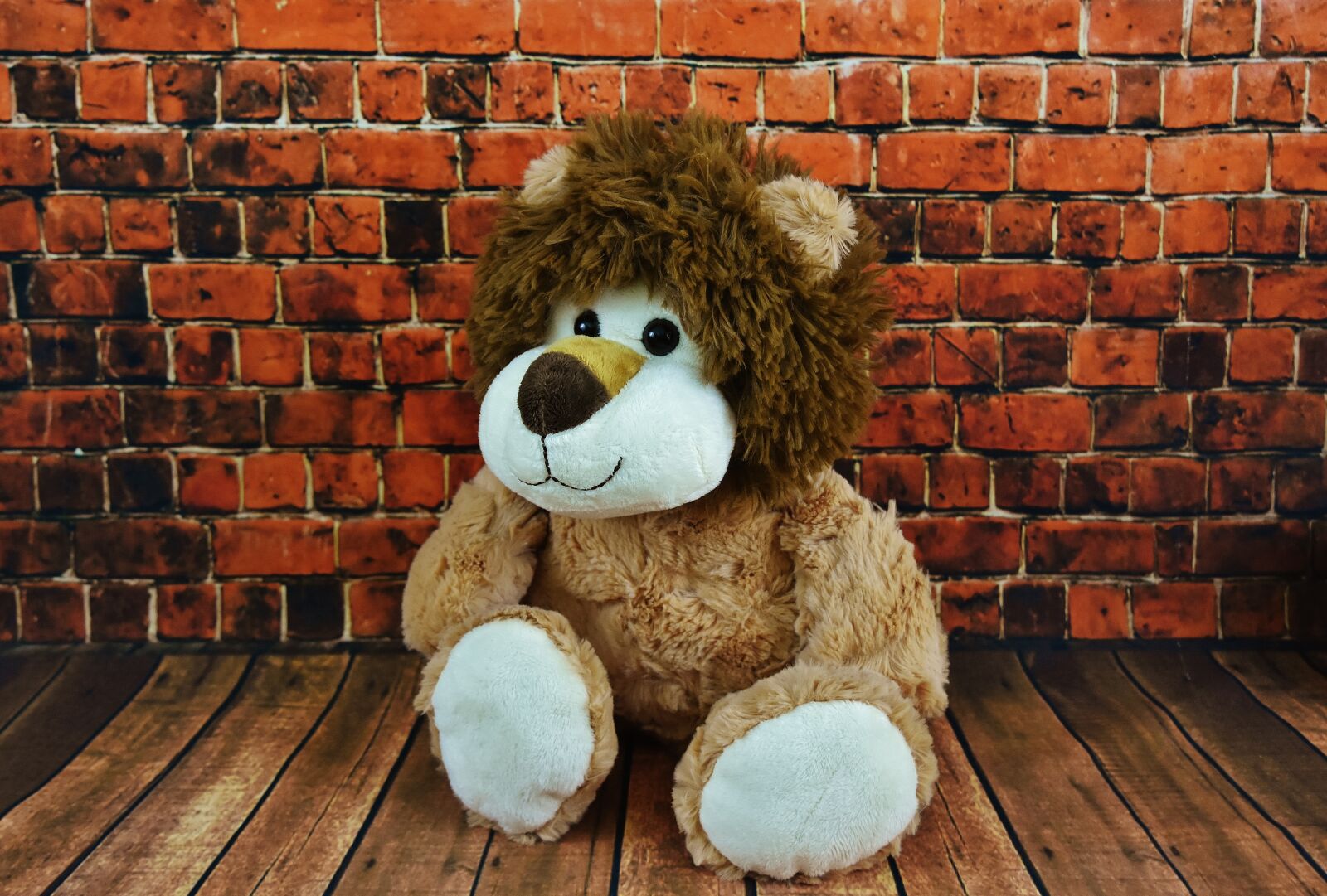 Nikon D7200 sample photo. Soft toy, lion, stuffed photography