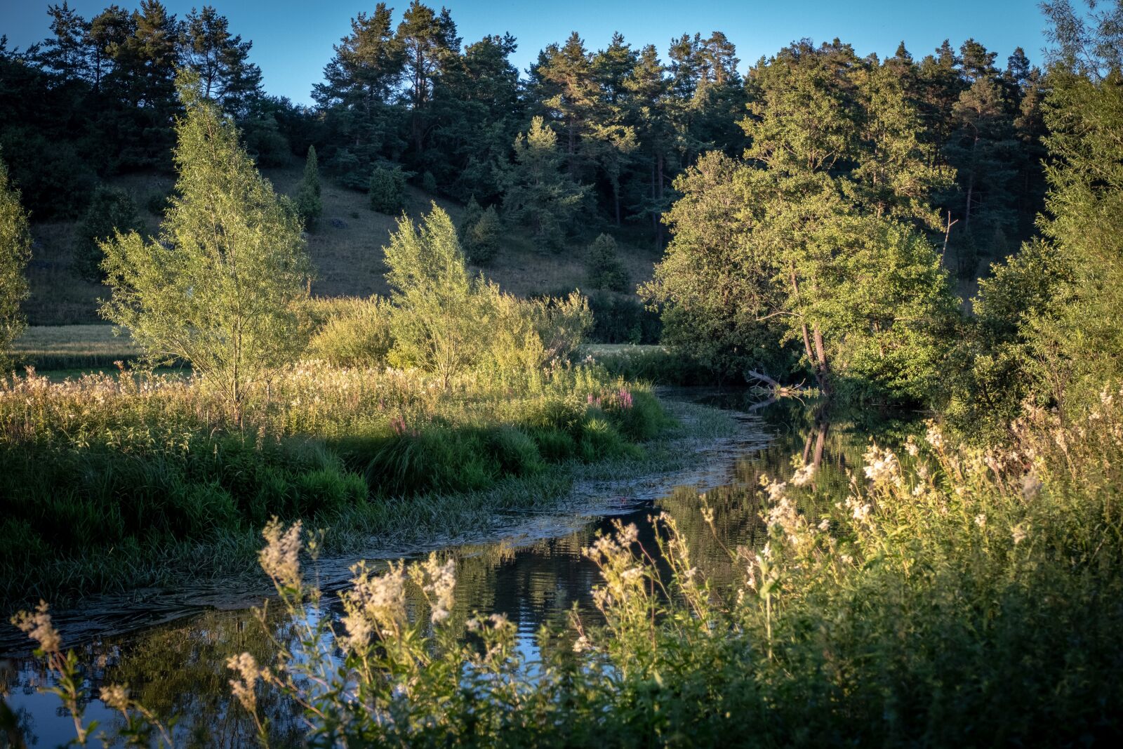 Fujifilm X-T2 sample photo. Landscape, grasses, river photography