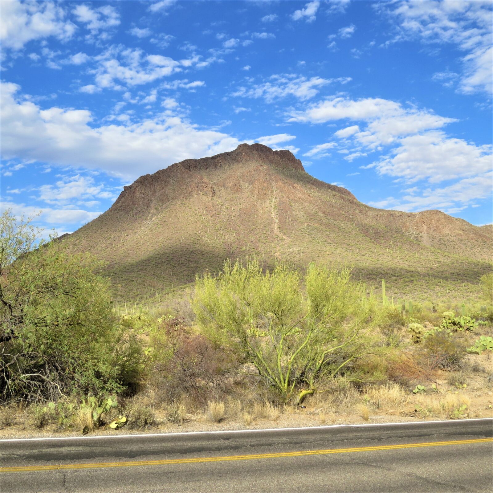 Canon PowerShot SX50 HS sample photo. Tucson, arizona, sky photography