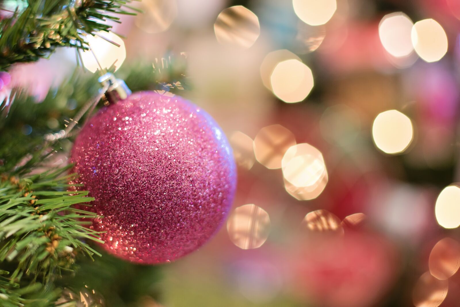 Canon EF 50mm F1.4 USM sample photo. Christmas ornament, bulb, pink photography