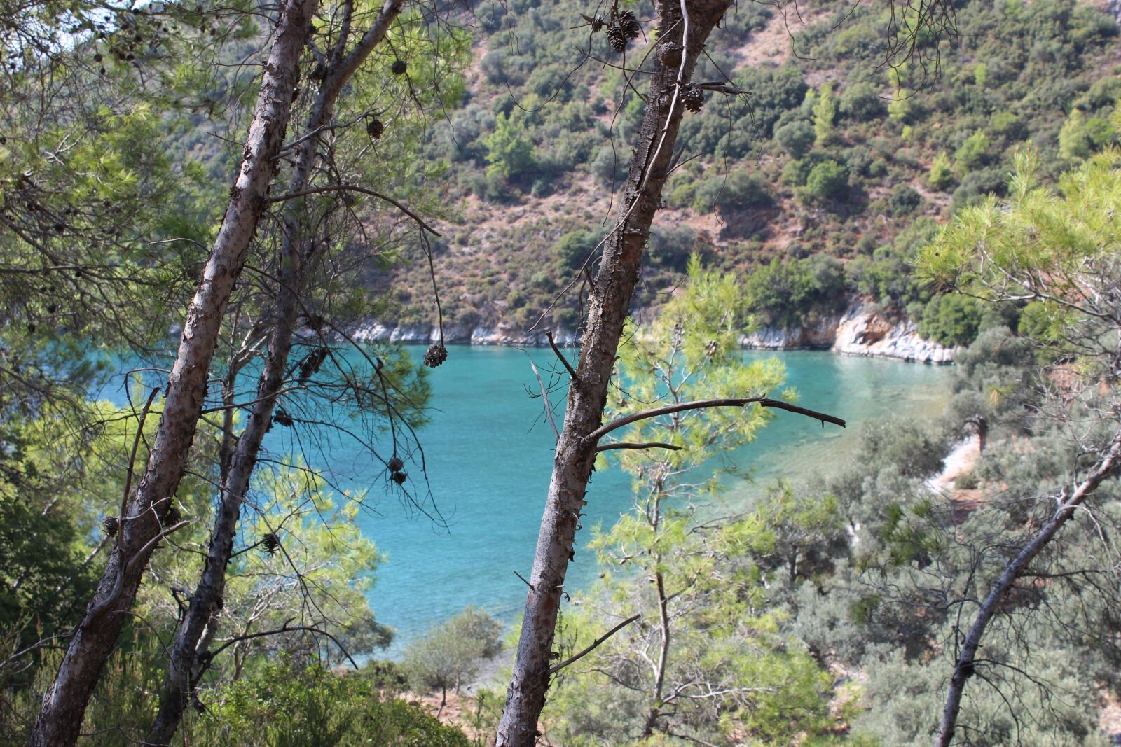 Canon EOS 600D (Rebel EOS T3i / EOS Kiss X5) sample photo. Turkey, mugla, akbuk photography