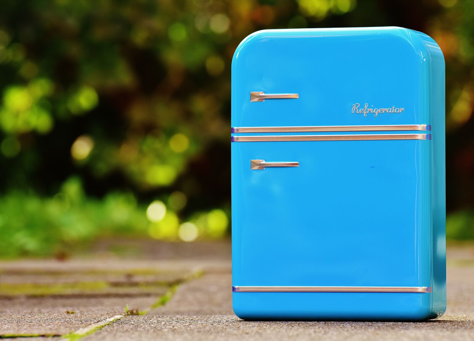 Nikon D7200 sample photo. Refrigerator, box, cookie jar photography