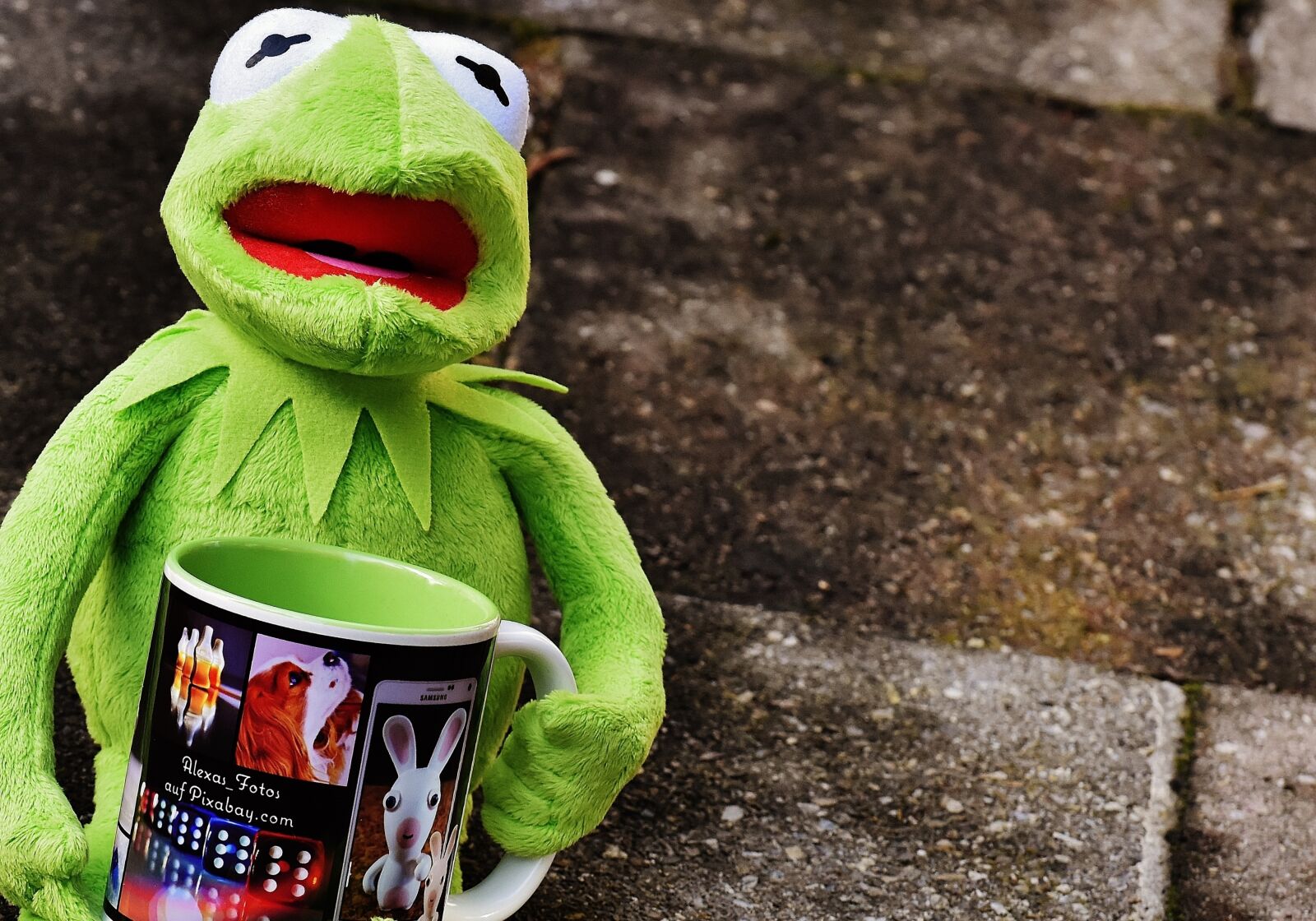 Nikon D7200 sample photo. Kermit, cup, drink coffee photography
