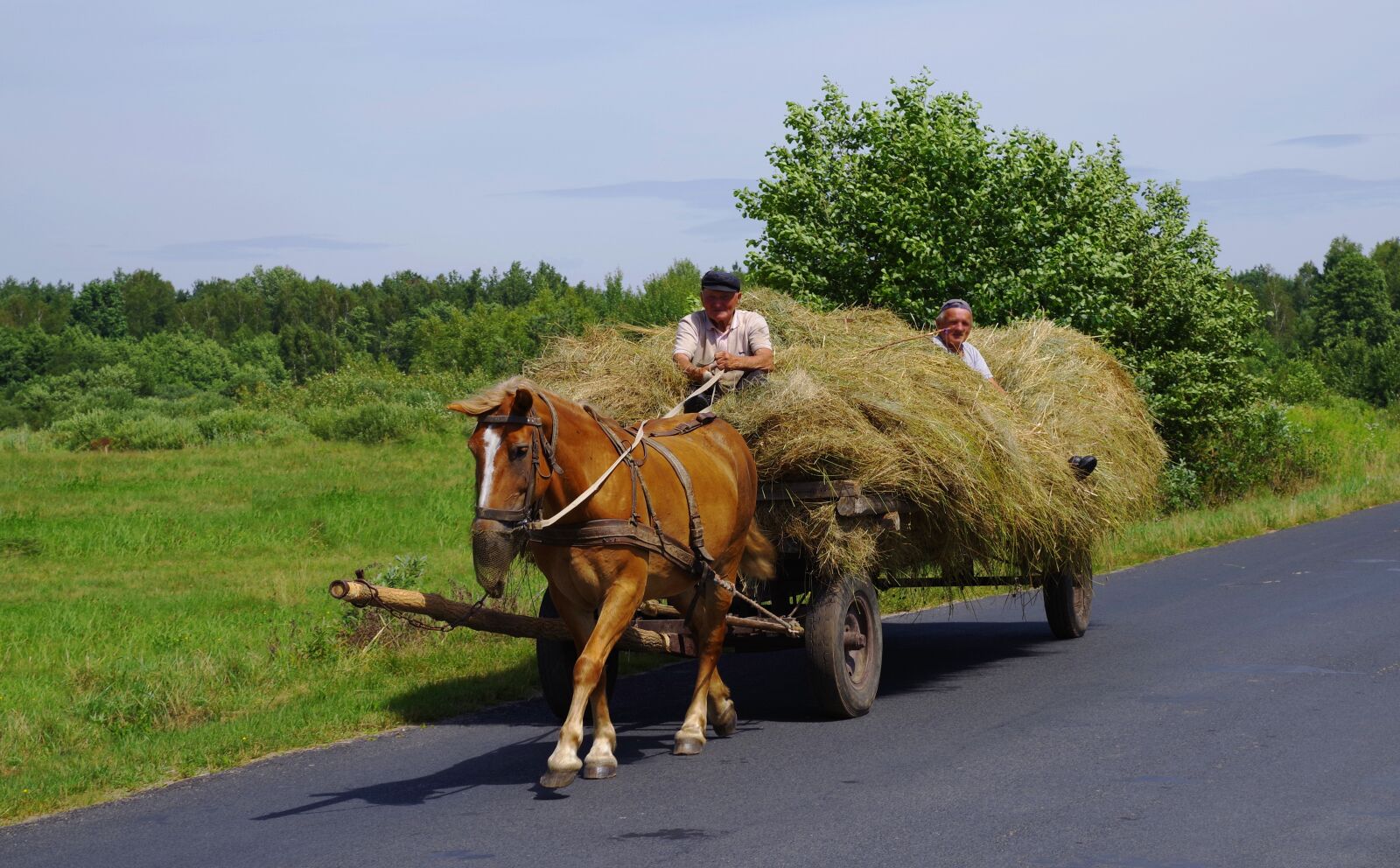 Pentax K-1 sample photo. Machine hay horse, cart photography