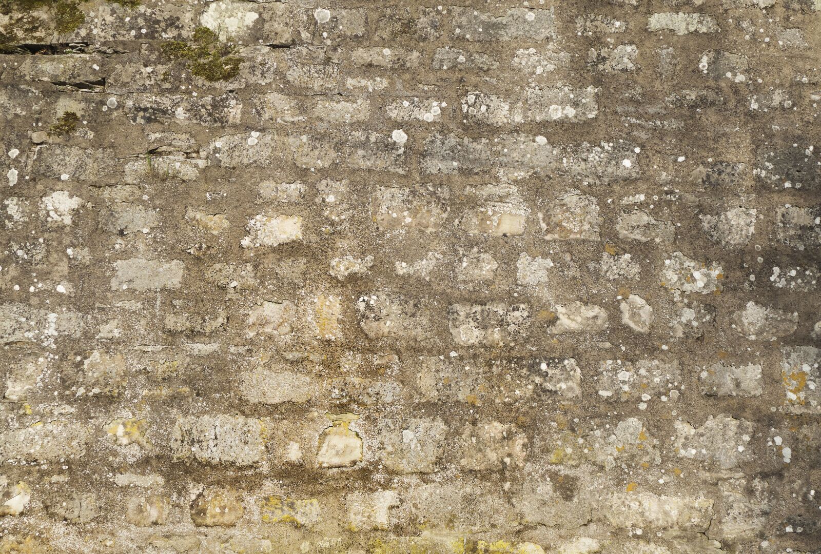 Panasonic Lumix DMC-FZ1000 sample photo. Wall, stone wall, facade photography