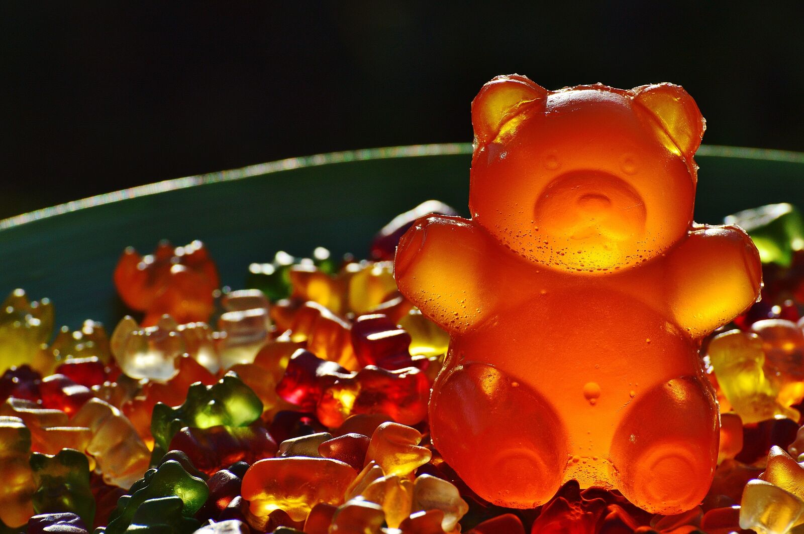 Nikon D3200 sample photo. Gummib rchen, giant rubber photography